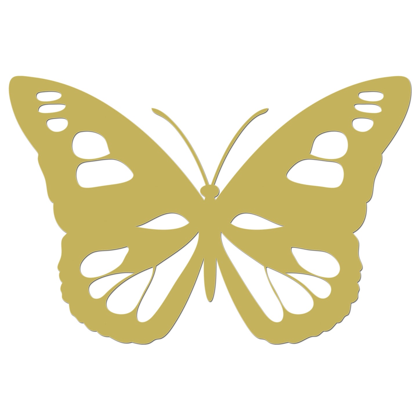 Butterfly Iron On HTV Transfer