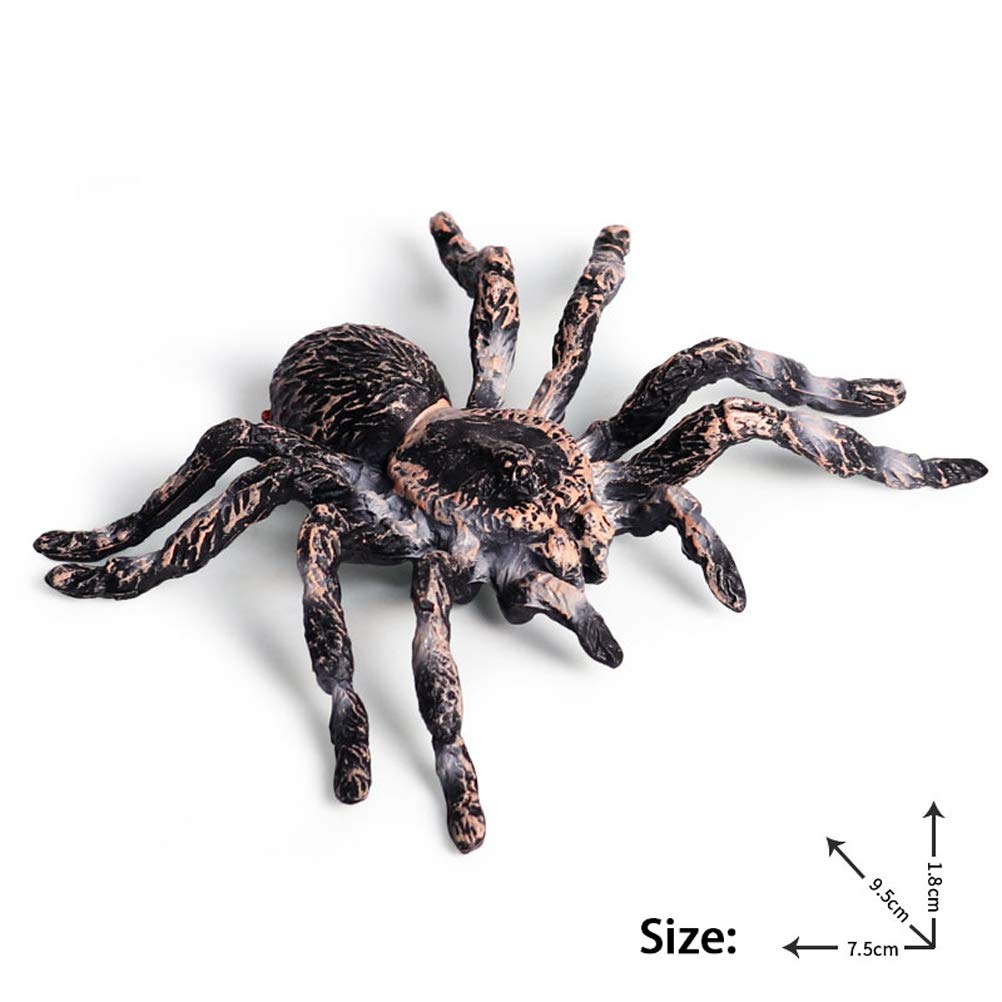 FLORMOON Realistic Spider Figures – Giant Whiteknee Insect Toy Set for Kids, Education & Imagination
