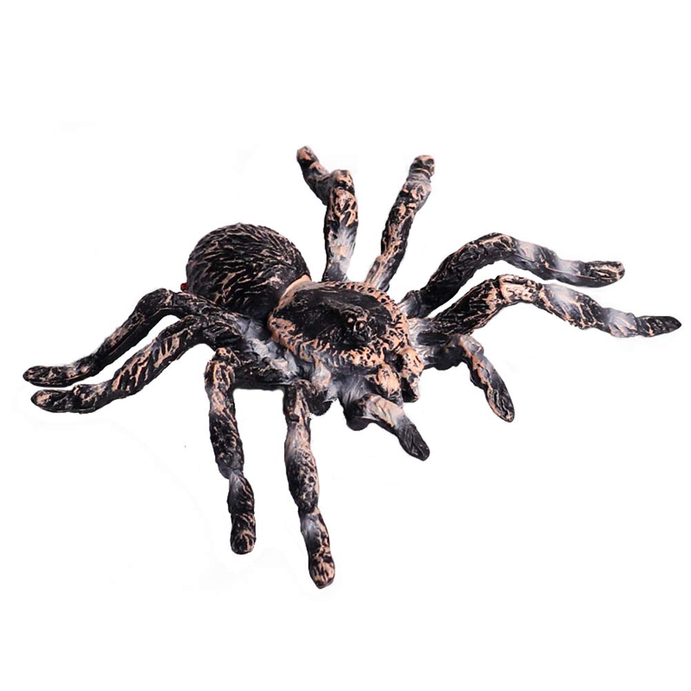 FLORMOON Realistic Spider Figures – Giant Whiteknee Insect Toy Set for Kids, Education & Imagination