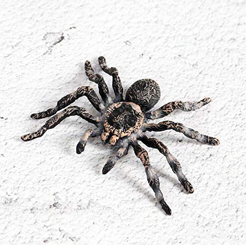 FLORMOON Realistic Spider Figures – Giant Whiteknee Insect Toy Set for Kids, Education & Imagination
