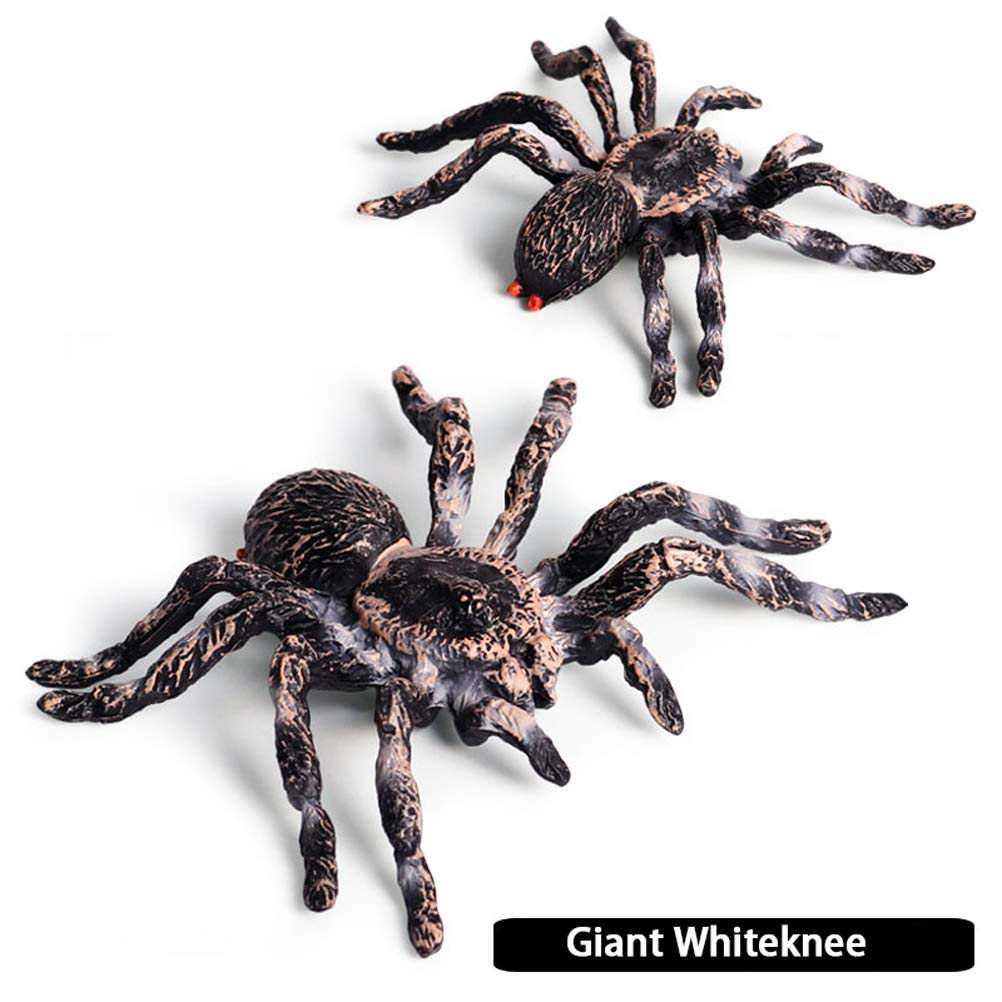 FLORMOON Realistic Spider Figures – Giant Whiteknee Insect Toy Set for Kids, Education & Imagination
