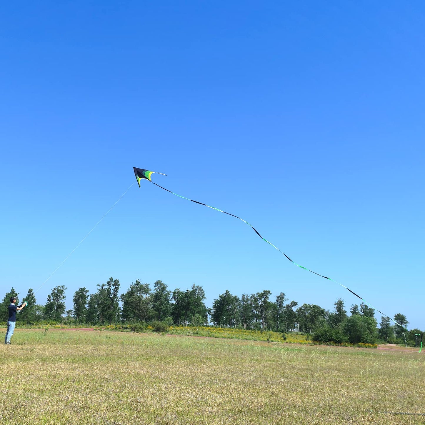 Flying Hoofer Giant Delta Kite for Adults - Easy to Fly, 9ft with 98ft Tail (Black & Green)