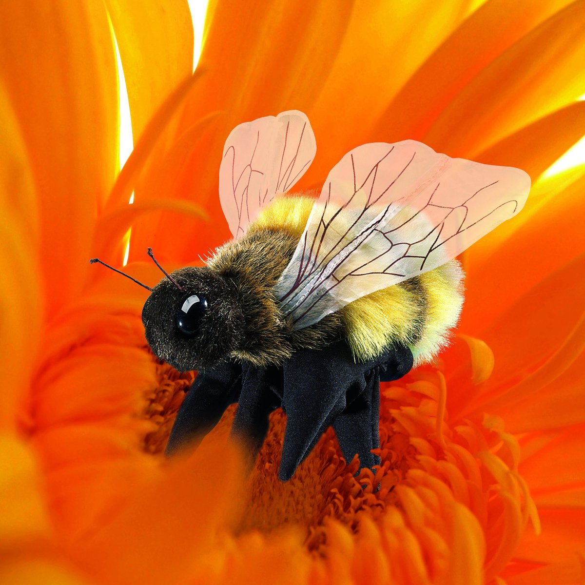 Folkmanis Honey Bee Hand Puppet (3028) | Plush Bee for Storytelling & Puppetry