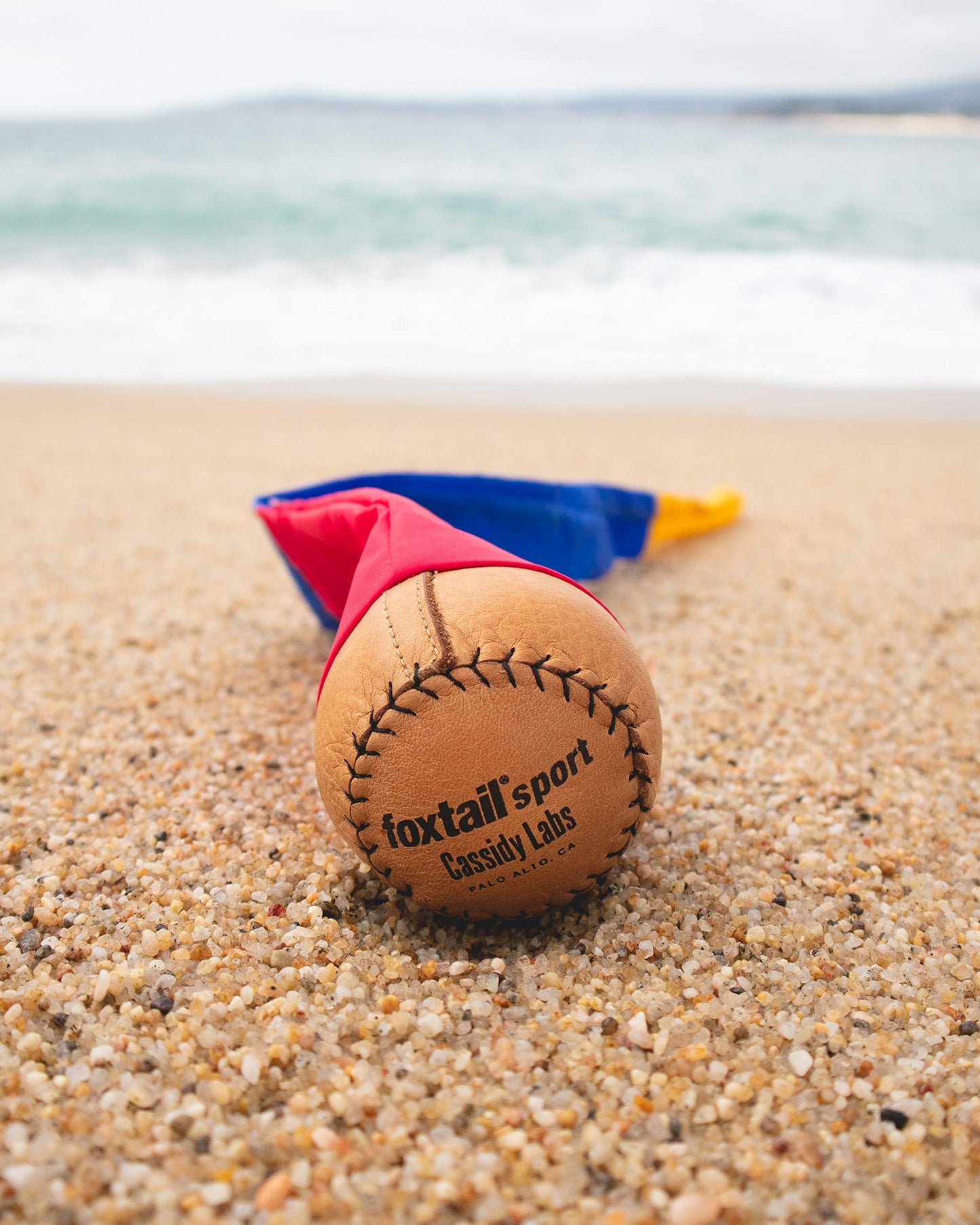 Foxtail Sport - The Original 90s Throw & Catch Outdoor Game for Ages 8+