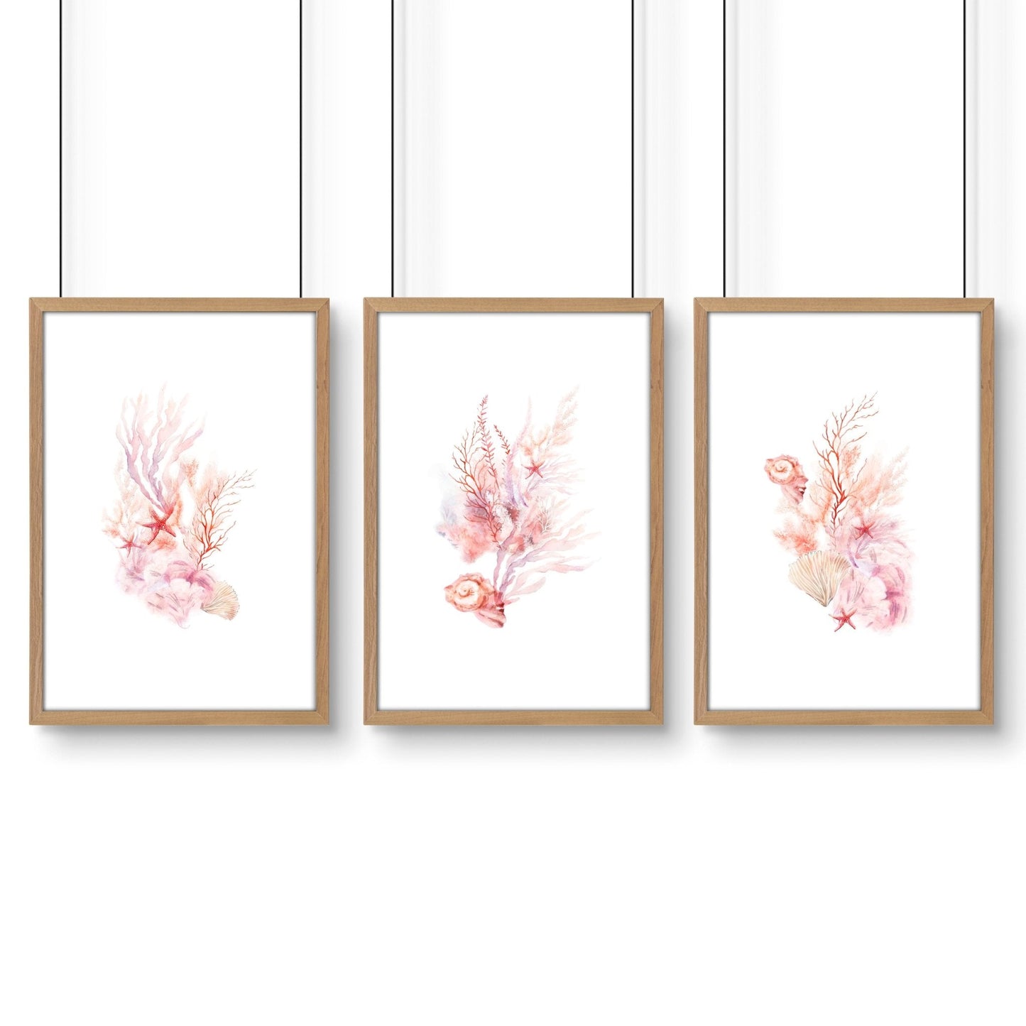 Framed Pictures For The Bathroom | Set of 3 Seashells Wall art Prints
