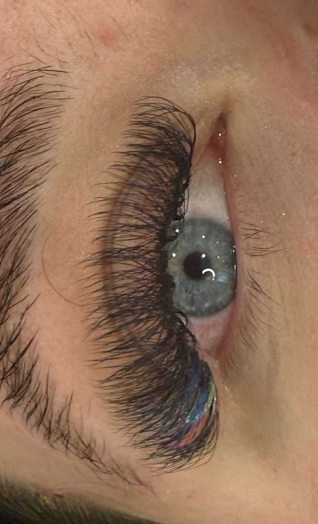8D Clover Lash Mixed Tray (16 Rows)