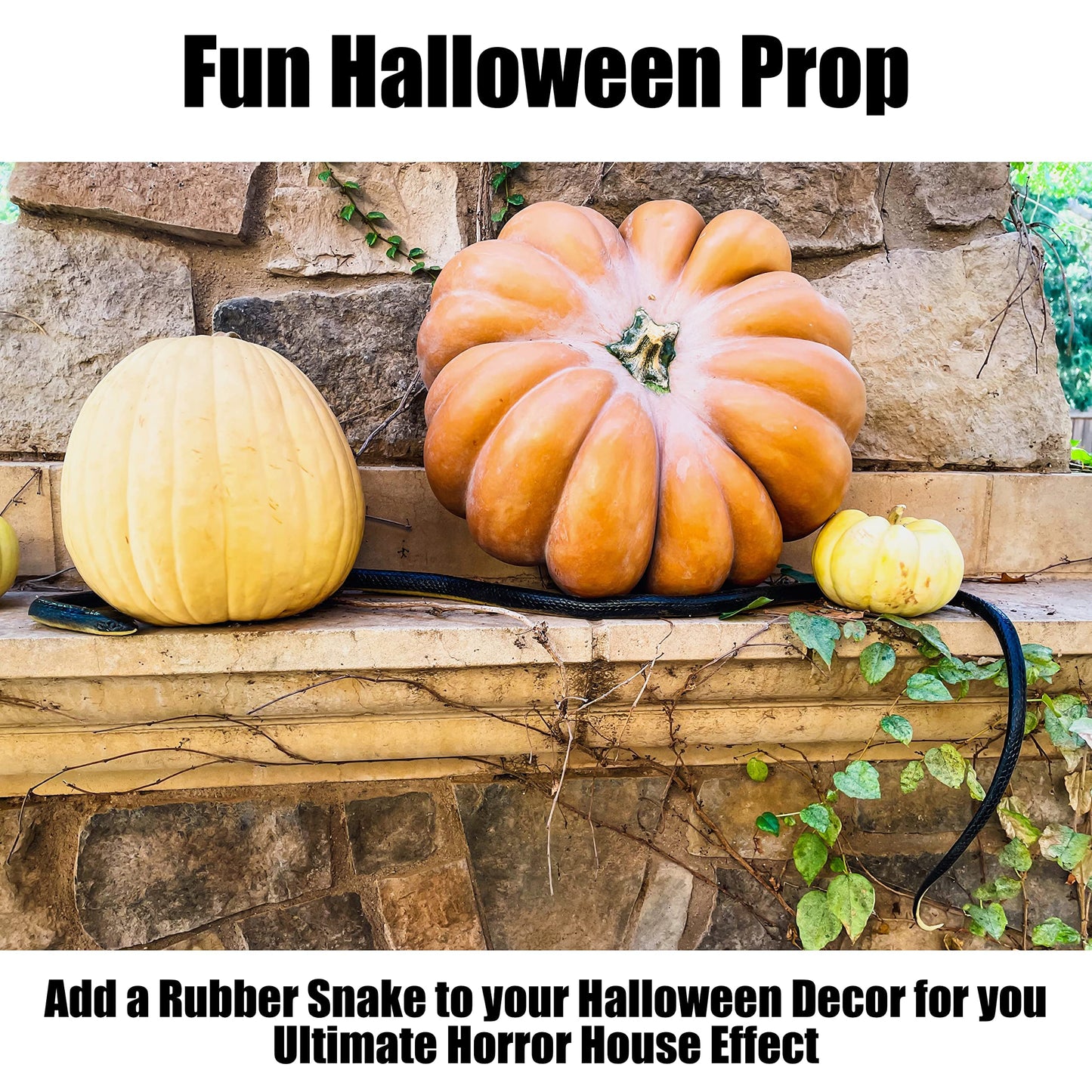 FunFamz The Original Realistic Rubber Snake Toy – Large Black Fake Snake for Pranks
