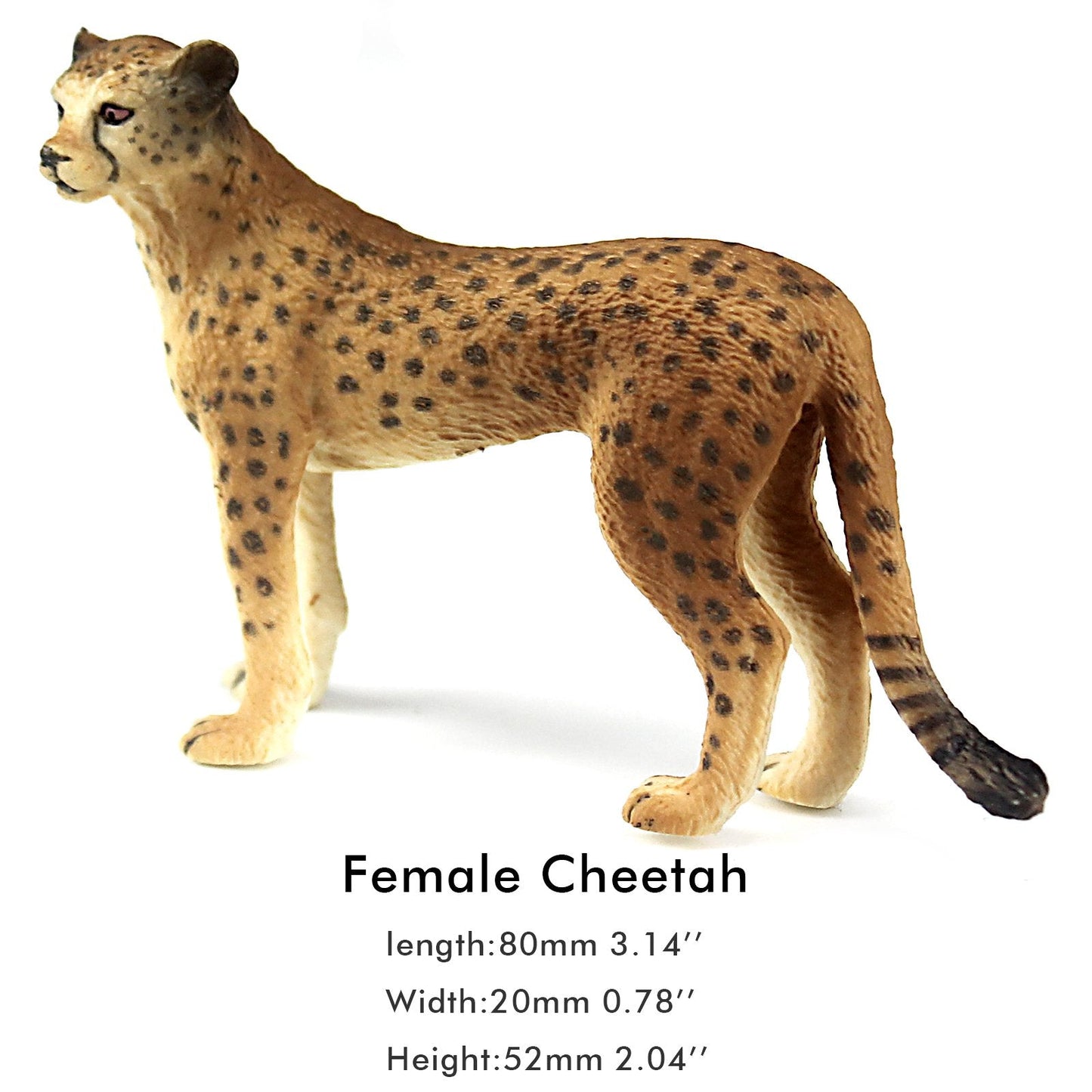 FUNSHOWCASE African Jungle Cheetah Figurines – Realistic 2-Piece Plastic Toy Set