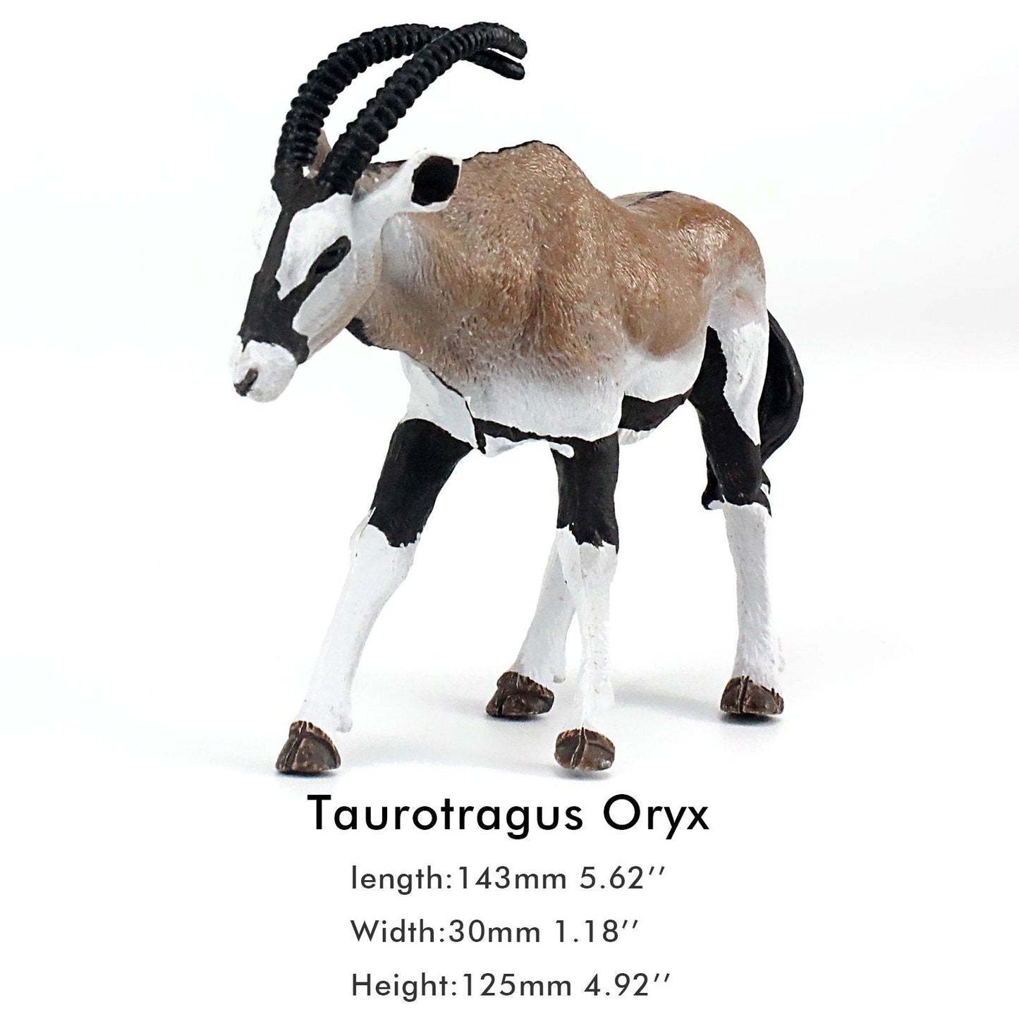 FUNSHOWCASE African Jungle Wild Animals Toy Antelope Figures – 5-Piece Set for Kids, Cake Toppers & Play