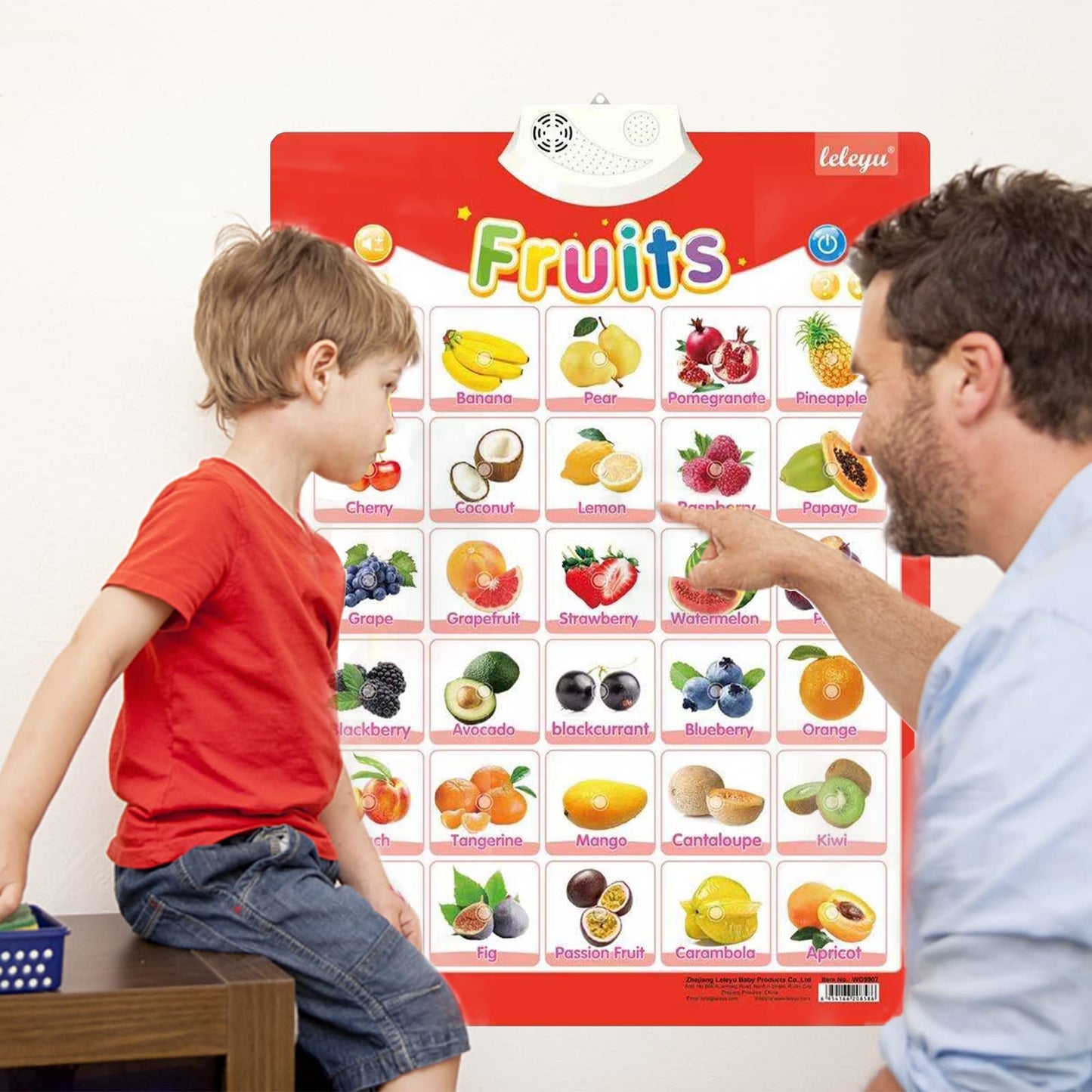FUNWISH 4-Pack Electronic Interactive Alphabet Wall Chart for Kids – ABC Learning Poster