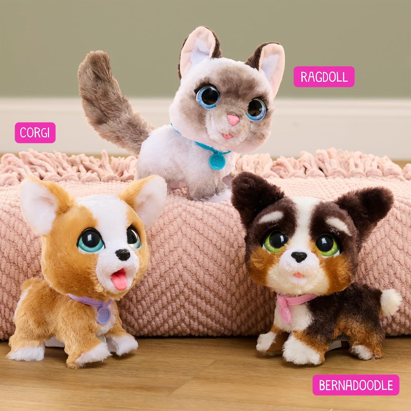 furReal Poop-A-Lots Corgi Interactive Walking Plush – 8-Inch Toy with Leash