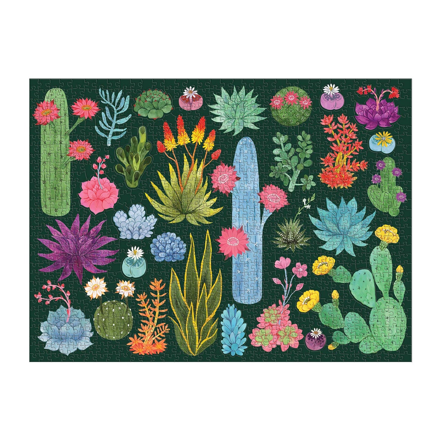 Galison Desert Flora Puzzle - 1000-Piece Jigsaw (27 x 20) with Die-Cut Pieces | Family Activity Gift Idea