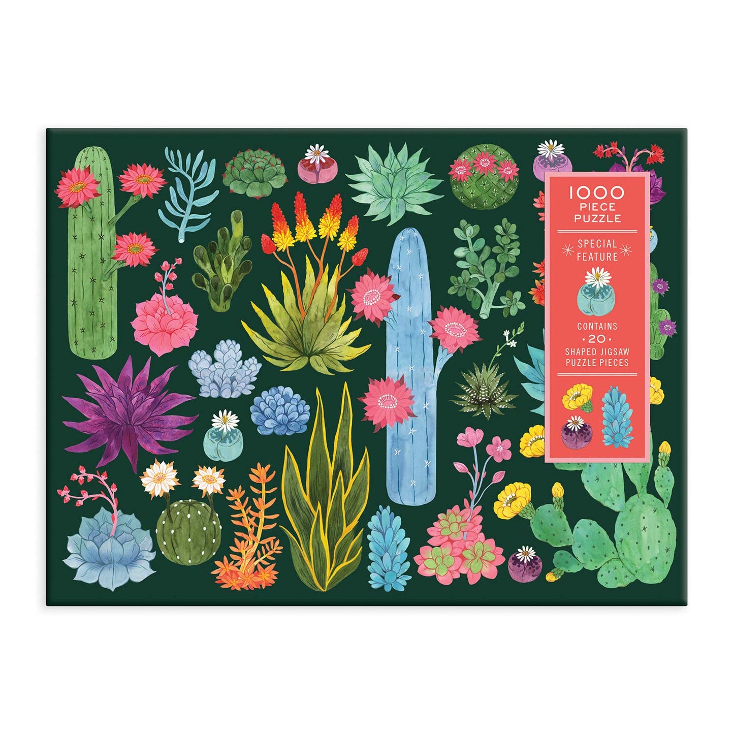 Galison Desert Flora Puzzle - 1000-Piece Jigsaw (27 x 20) with Die-Cut Pieces | Family Activity Gift Idea