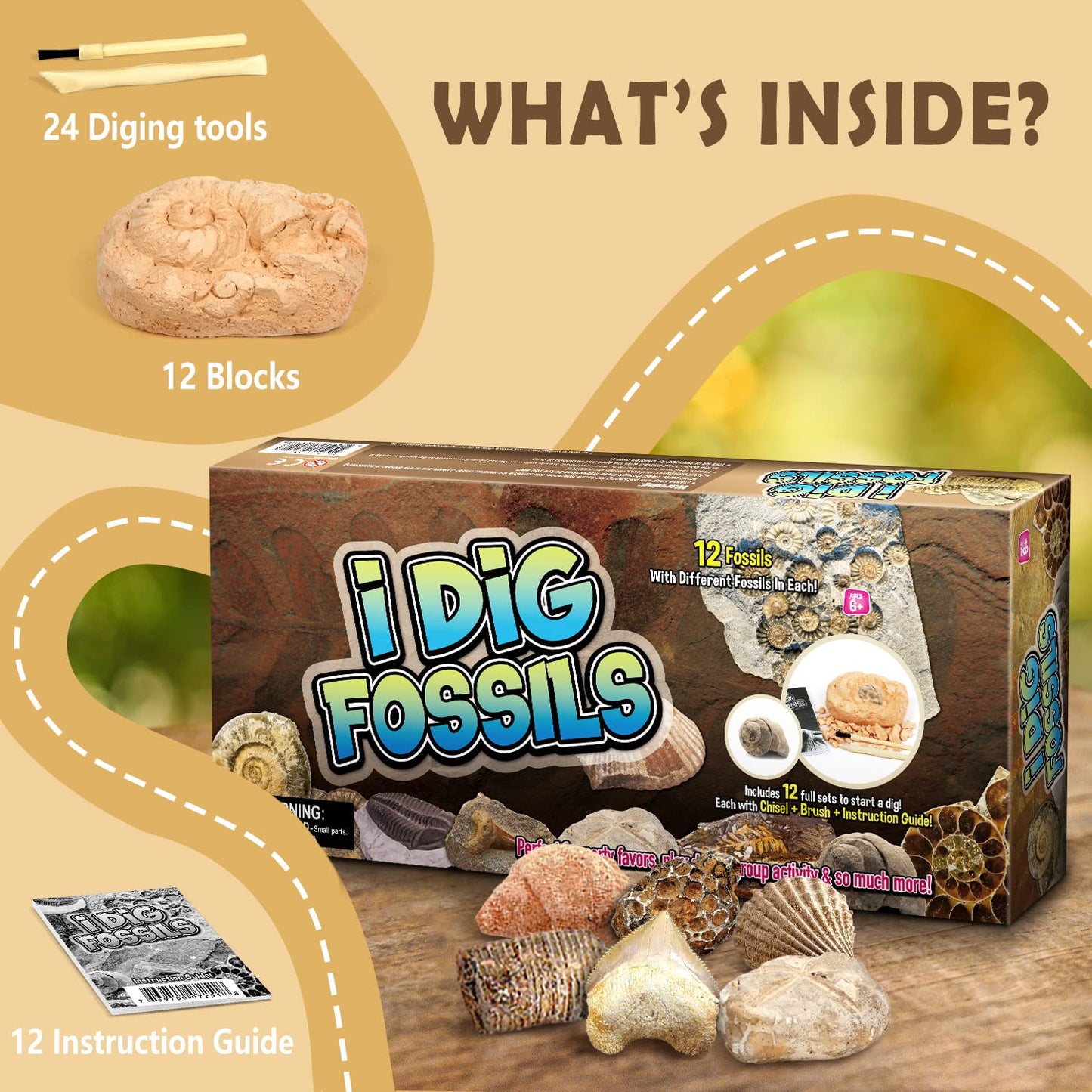 Gamerside Fossil Dig Kit by Byncceh — Educational STEM Toy for Kids 6+ | 12 Real Fossils