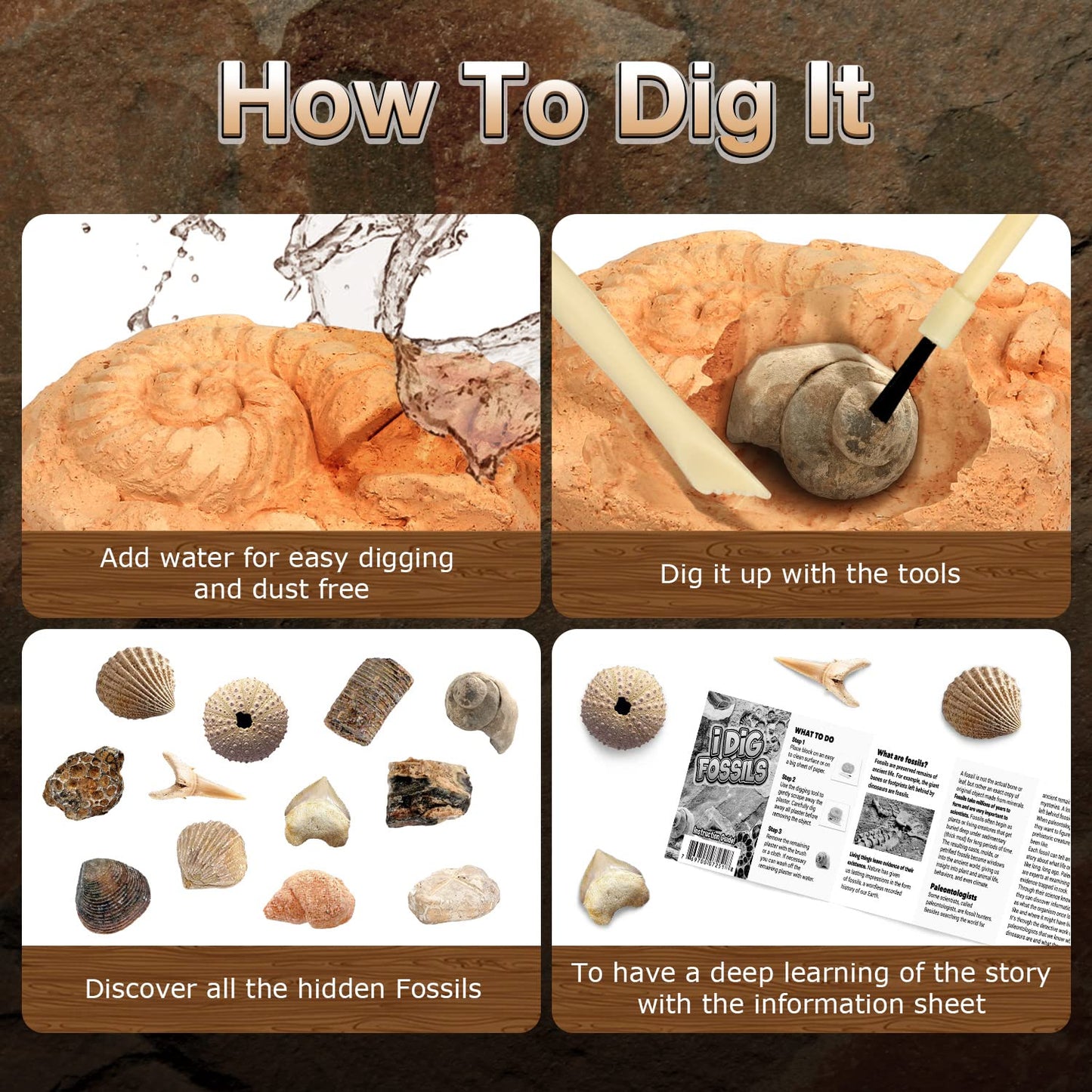 Gamerside Fossil Dig Kit by Byncceh — Educational STEM Toy for Kids 6+ | 12 Real Fossils