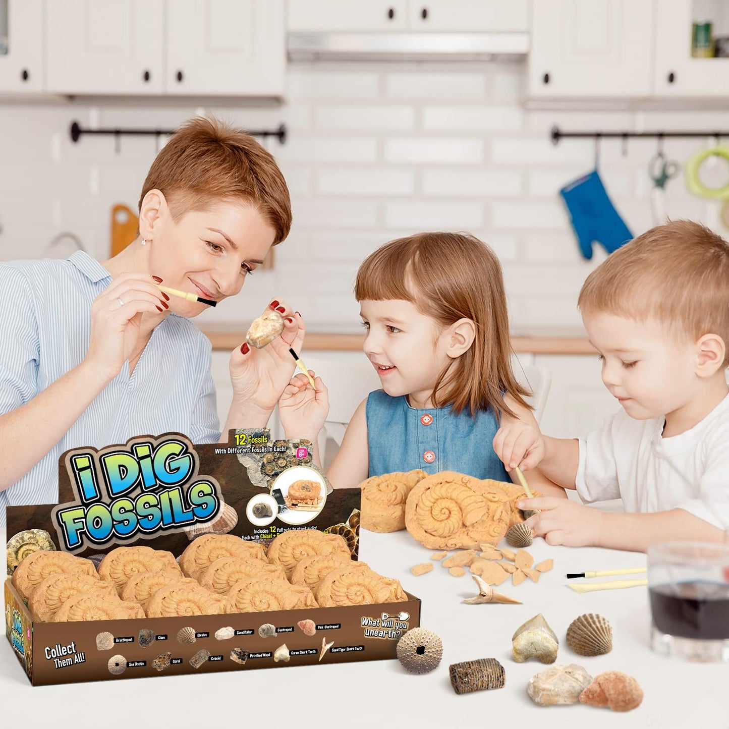 Gamerside Fossil Dig Kit by Byncceh — Educational STEM Toy for Kids 6+ | 12 Real Fossils