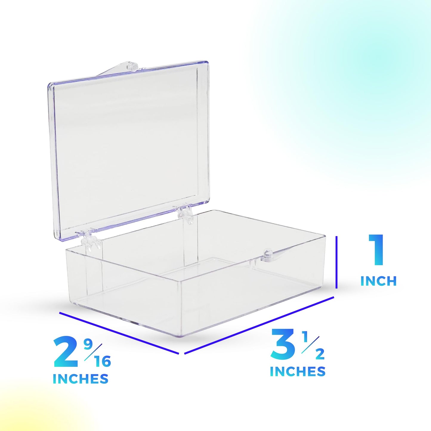 Gary Plastic Packaging: 10-Pack Clear Hinged Containers – Made in USA