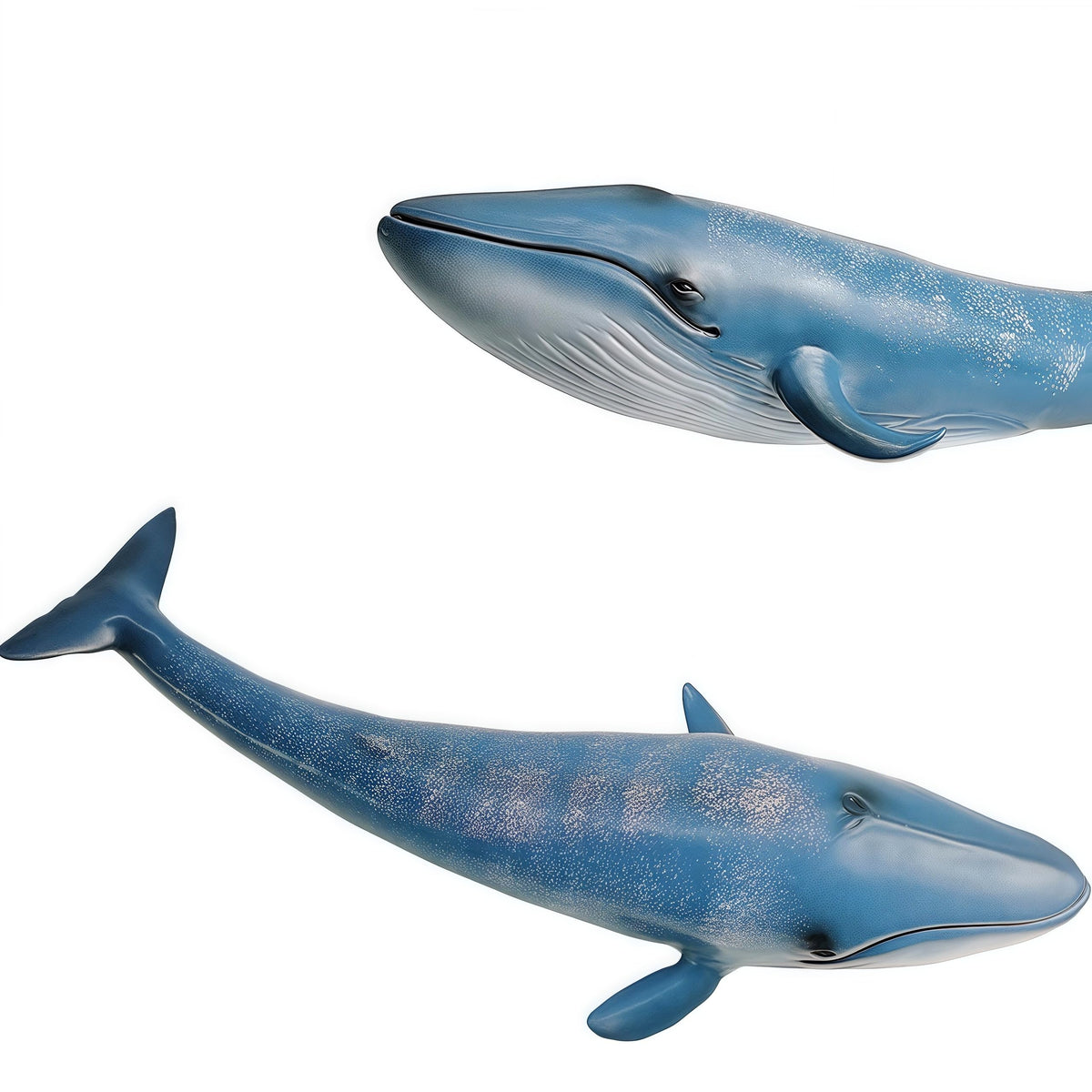 Gemini&Genius Blue Whale Action Figure – Educational Ocean Life Toy for Water & Land Play