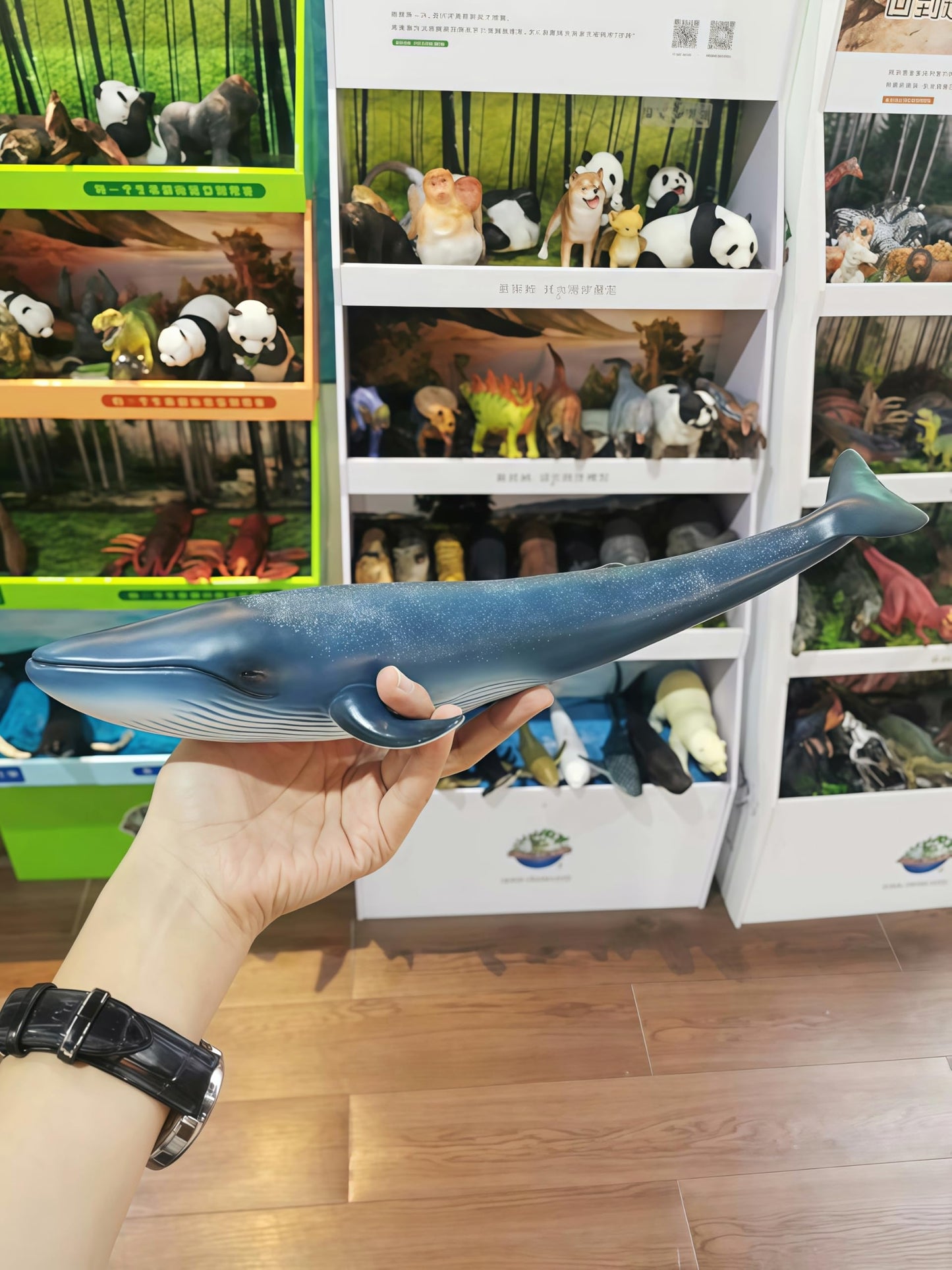 Gemini&Genius Blue Whale Action Figure – Educational Ocean Life Toy for Water & Land Play