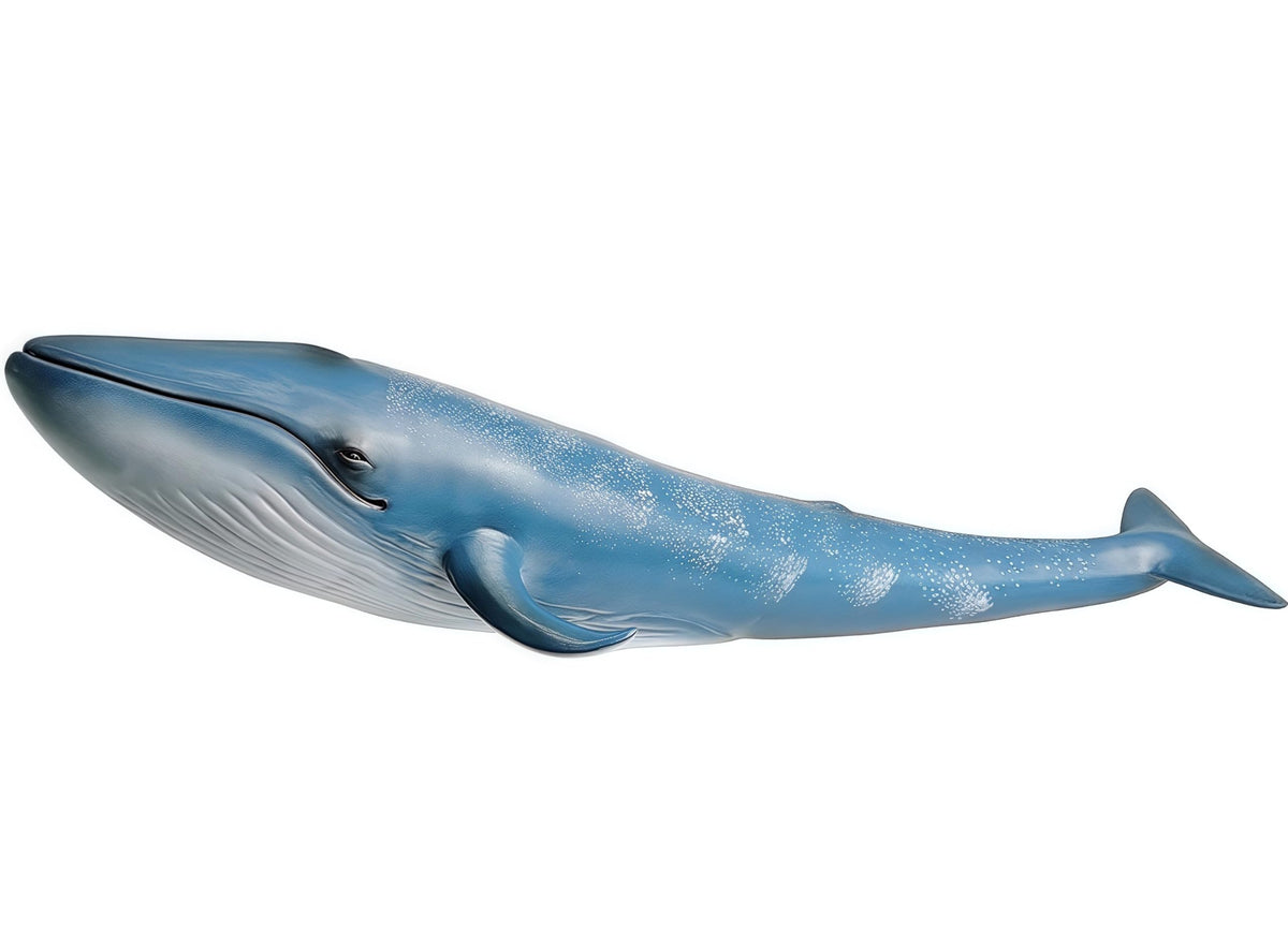 Gemini&Genius Blue Whale Action Figure – Educational Ocean Life Toy for Water & Land Play