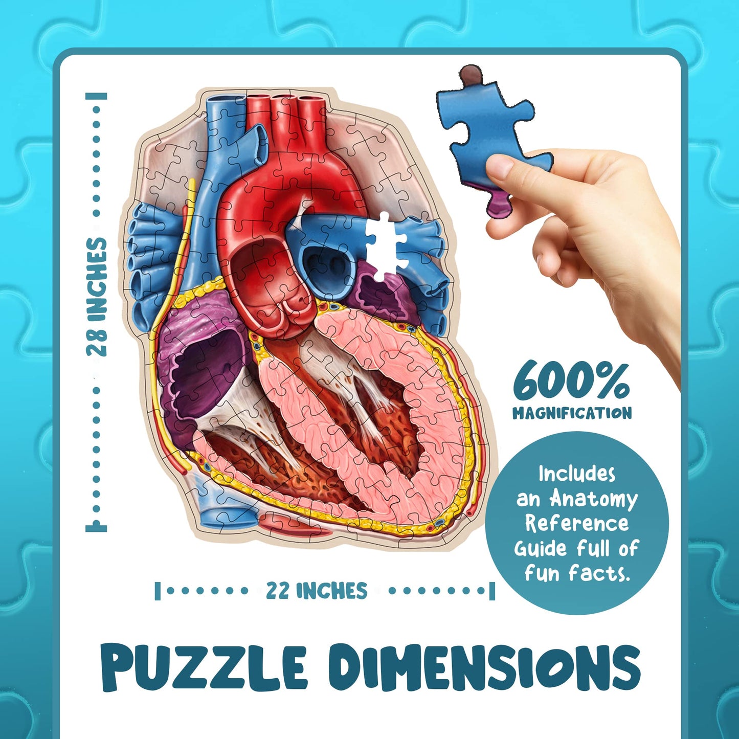 Genius Games Human Heart Anatomy Floor Puzzle — 100-Piece Jigsaw for Kids & Teens | Dr Livingston Jr
