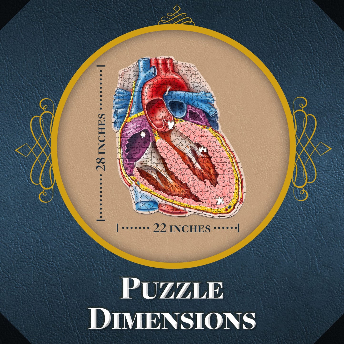 Genius Games Dr. Livingston's Human Heart Anatomy Puzzle – Medically Accurate Heart Jigsaw for Teens & Adults