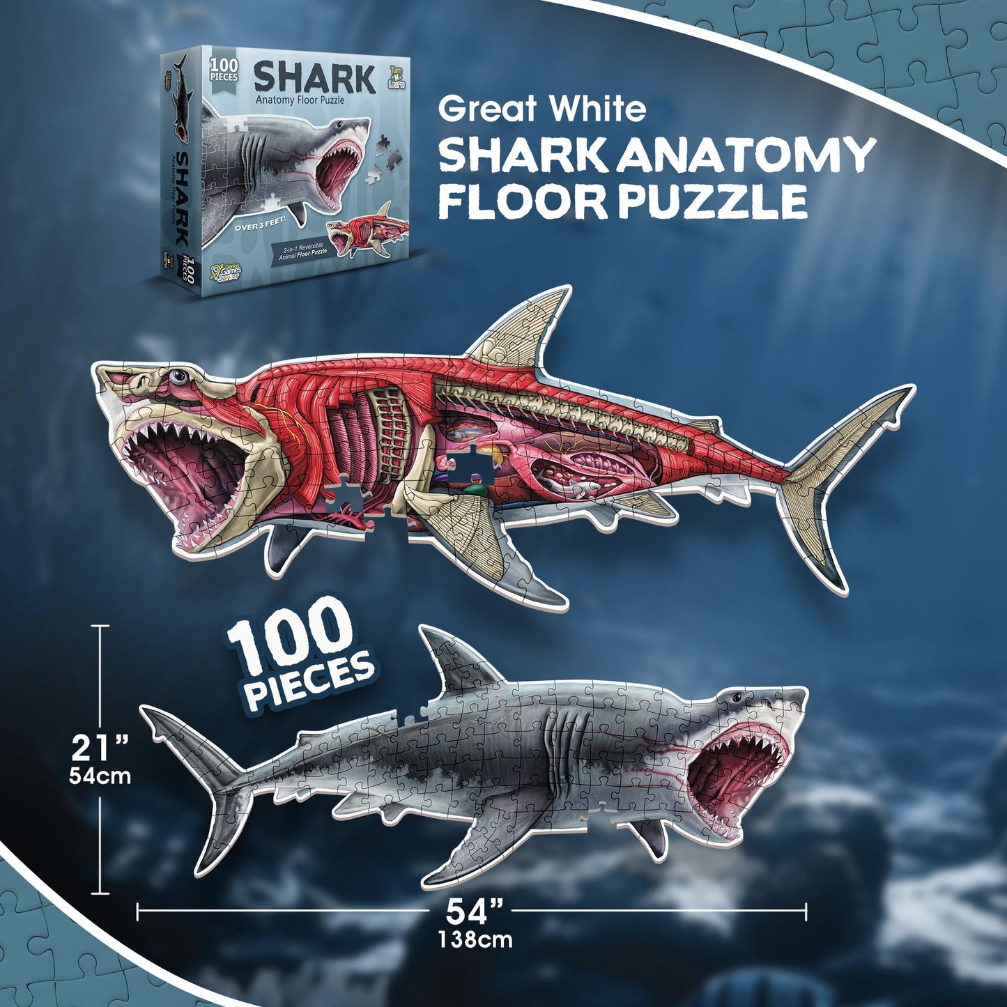 Shark Animal Anatomy Floor Puzzle by Genius Games – 100-Piece Double-Sided Jigsaw for Ages 4-10