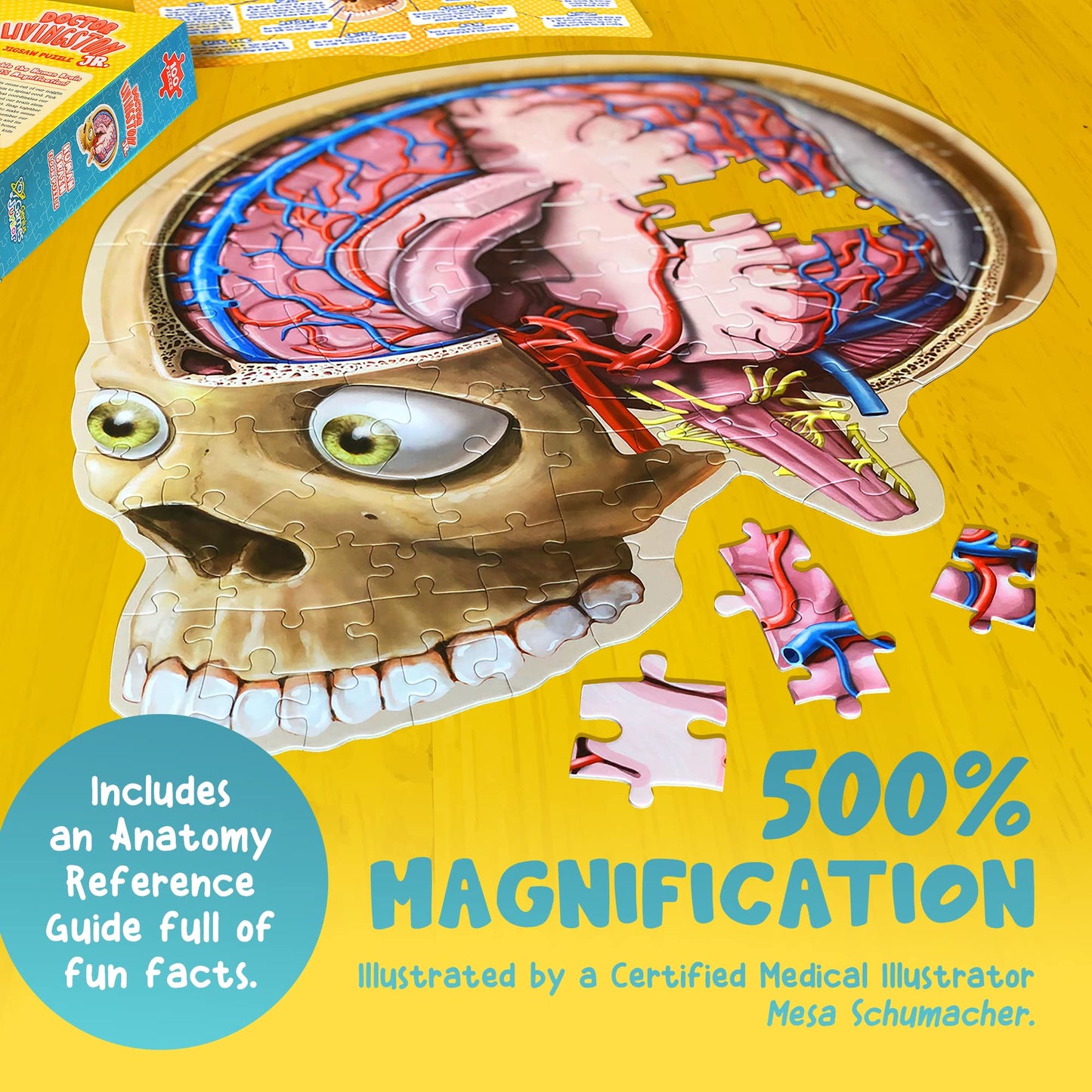 Genius Games Human Brain Floor Puzzle | Doctor Livingston Jr Anatomy Model – 100-Piece Brain Jigsaw for STEM Learning
