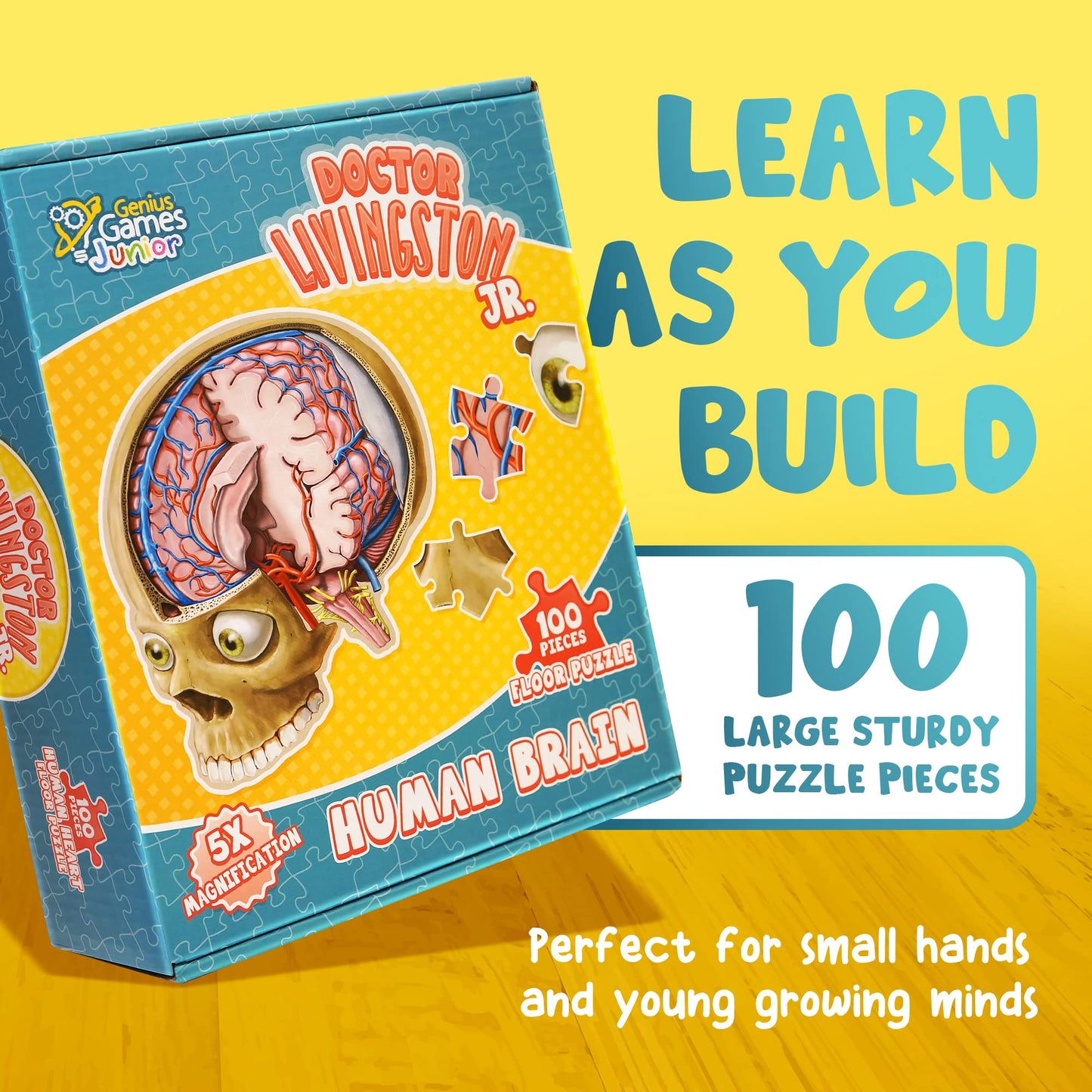 Genius Games Human Brain Floor Puzzle | Doctor Livingston Jr Anatomy Model – 100-Piece Brain Jigsaw for STEM Learning
