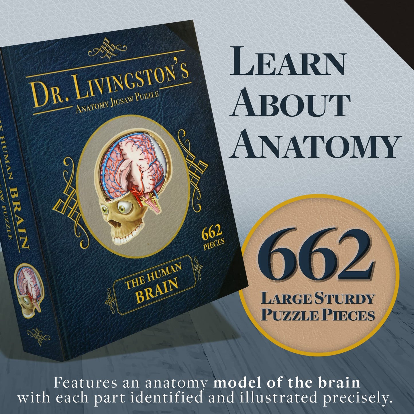 Genius Games Dr. Livingston's Brain Anatomy Puzzle — Medically Accurate Brain Jigsaw for Teens & Adults