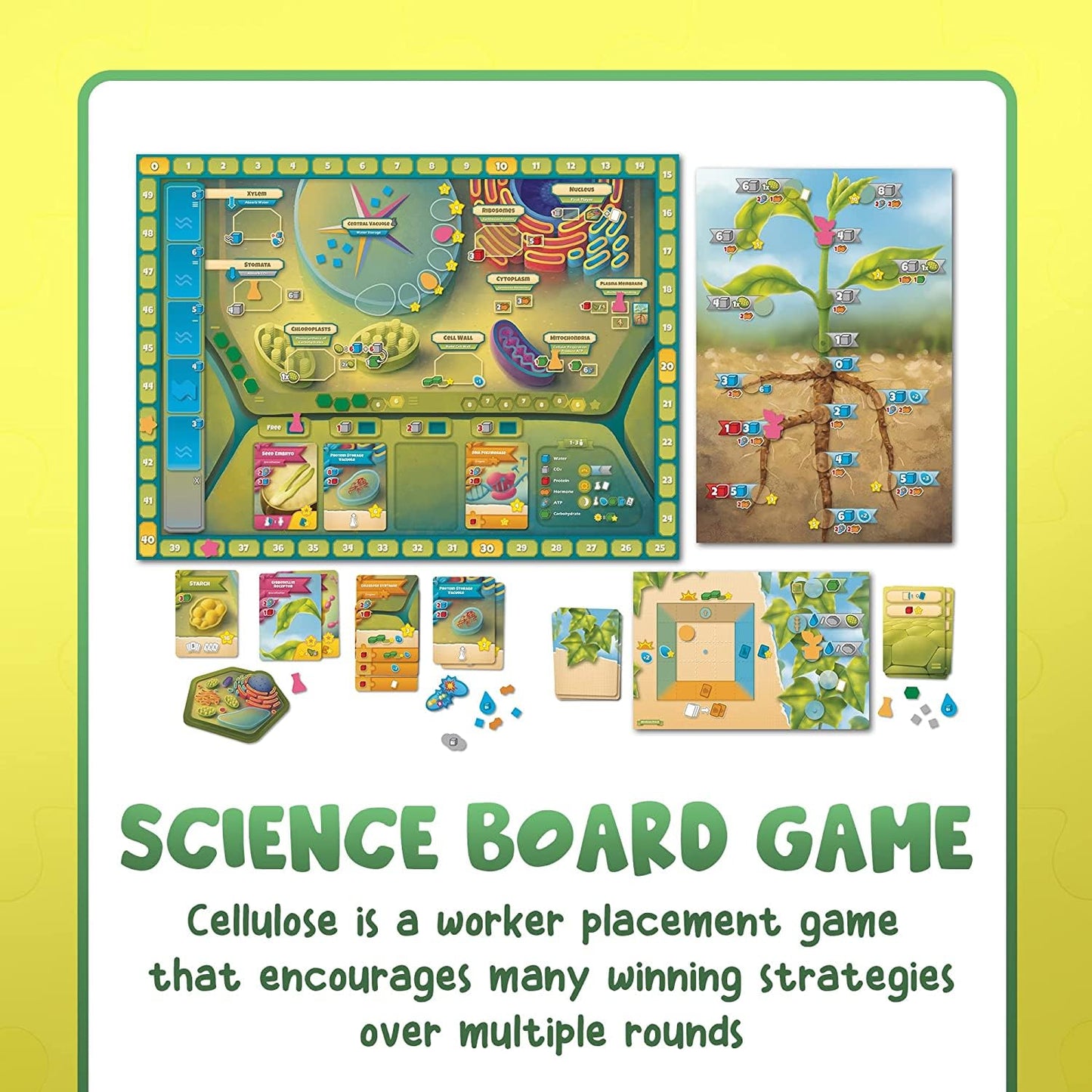Genius Games Cellulose: A Plant Cell Biology Game | Mensa-Recommended STEM Board Game