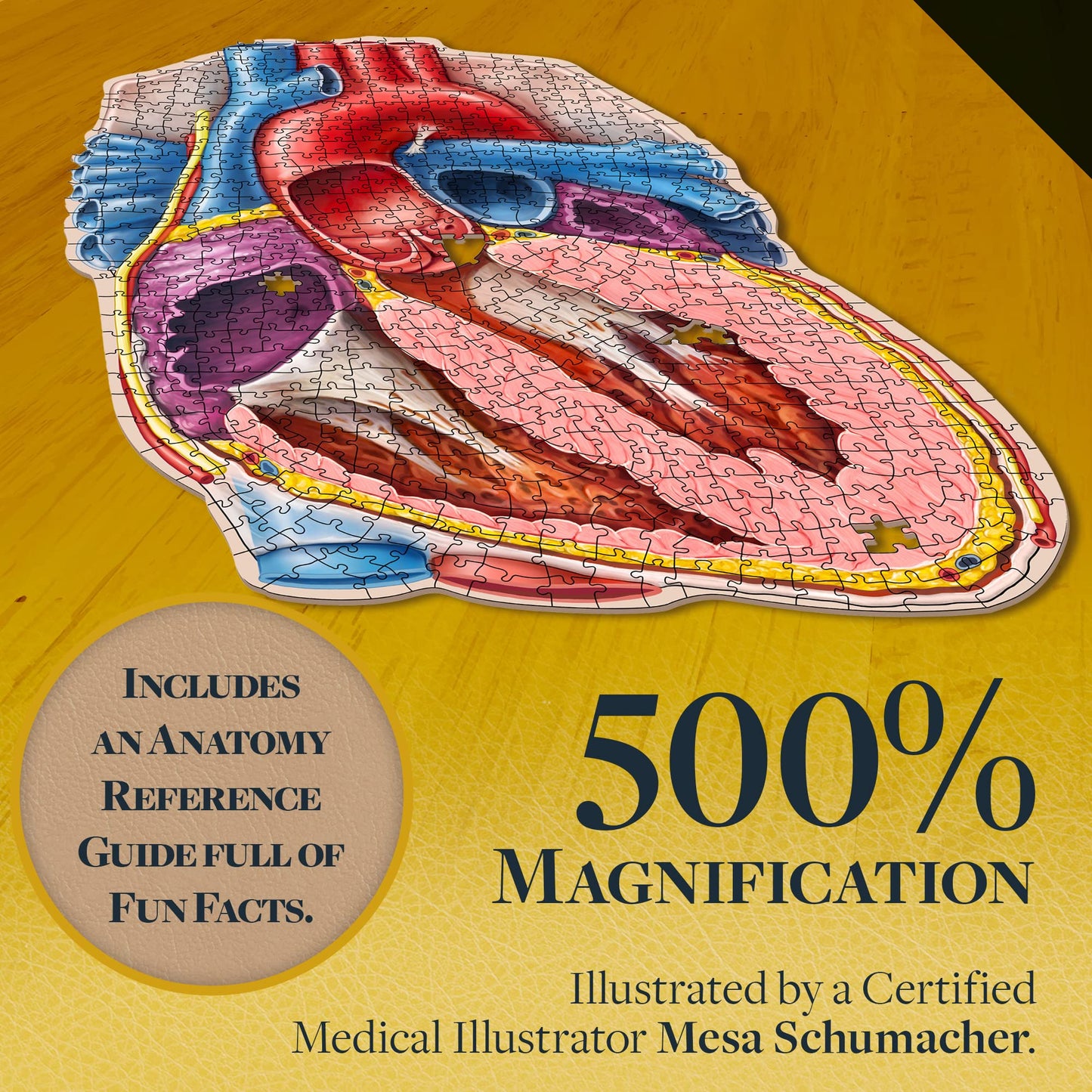 Genius Games Dr. Livingston's Human Heart Anatomy Puzzle – Medically Accurate Heart Jigsaw for Teens & Adults
