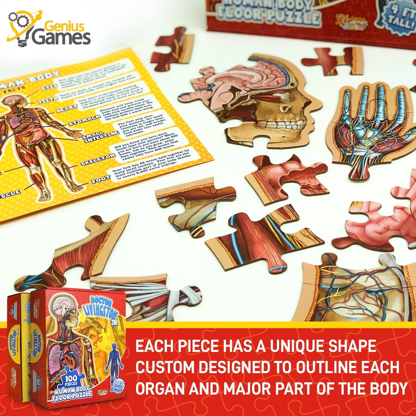 Genius Games Dr Livingston Jr Human Anatomy Floor Puzzle – 100-Piece, 4 ft