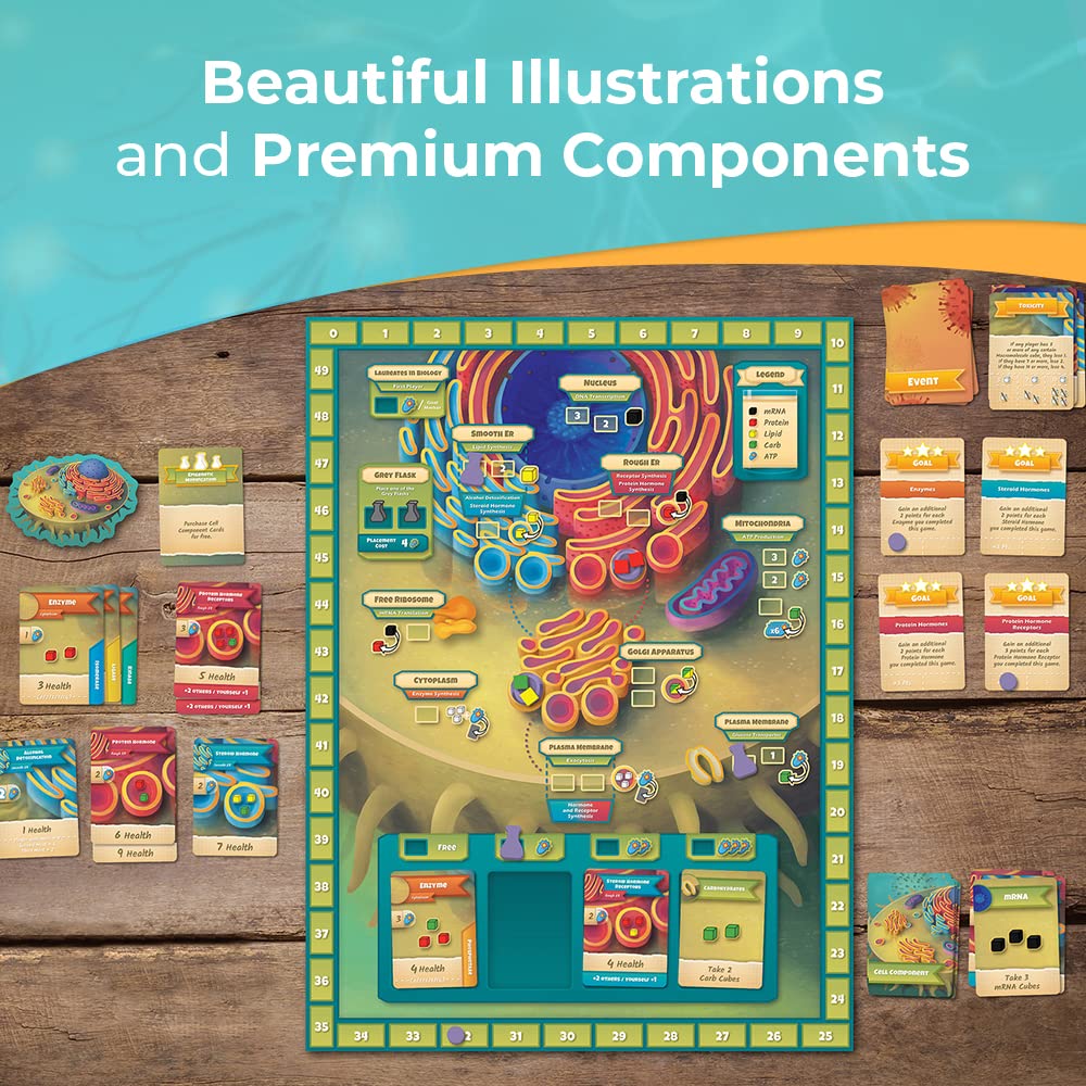 Cytosis: A Cell Biology Board Game by Genius Games – Build Proteins & Organelles