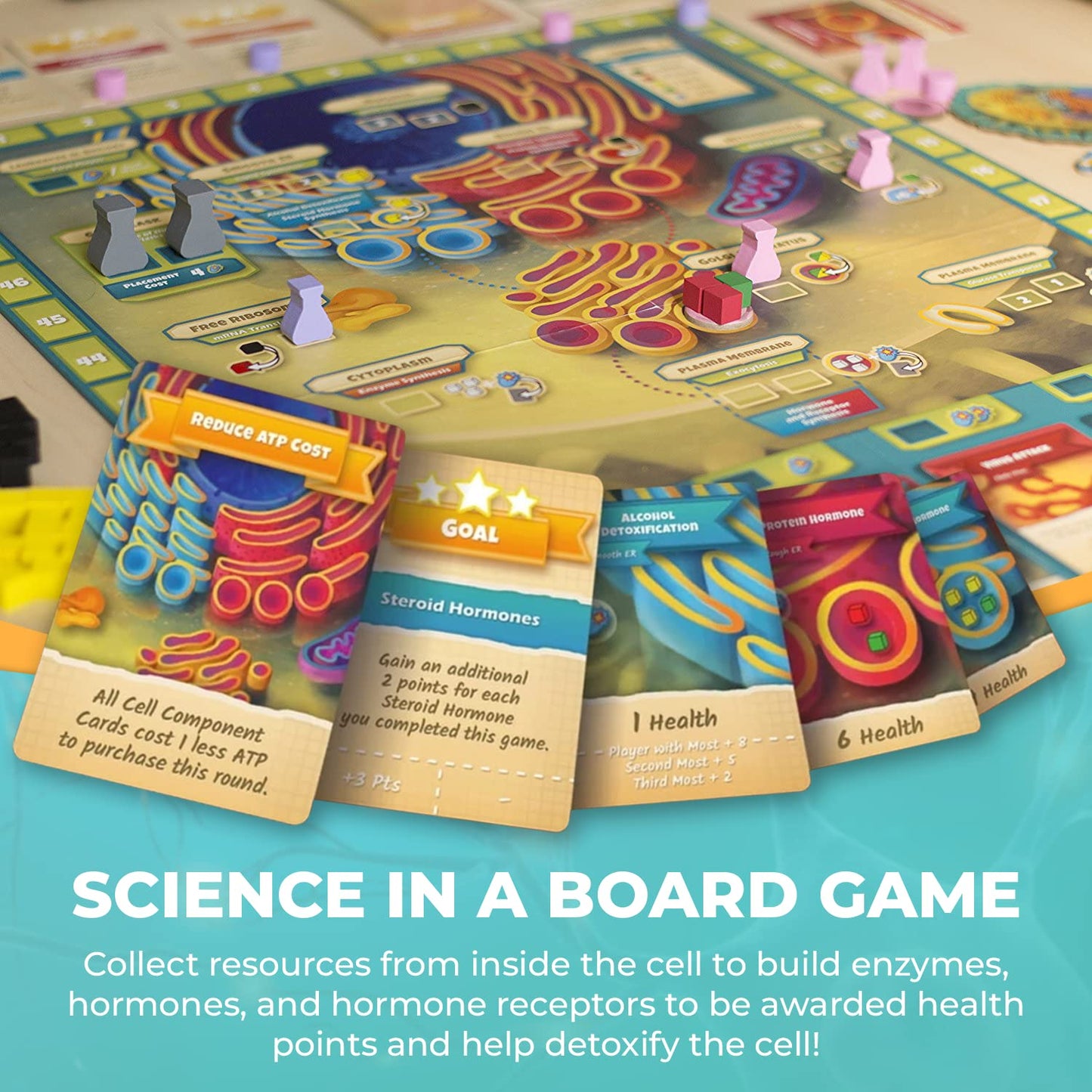 Cytosis: A Cell Biology Board Game by Genius Games – Build Proteins & Organelles