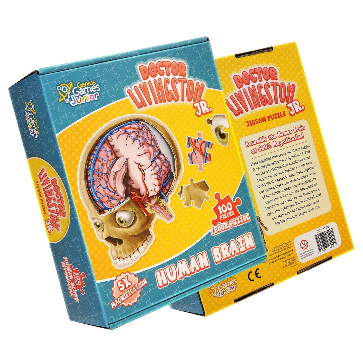 Genius Games Human Brain Floor Puzzle | Doctor Livingston Jr Anatomy Model – 100-Piece Brain Jigsaw for STEM Learning