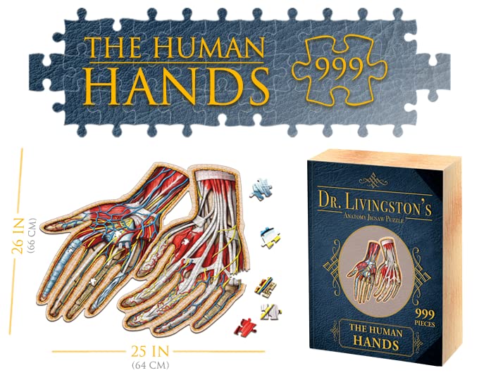 Genius Games Dr. Livingston's Hands Anatomy Puzzle – Educational Hand Model