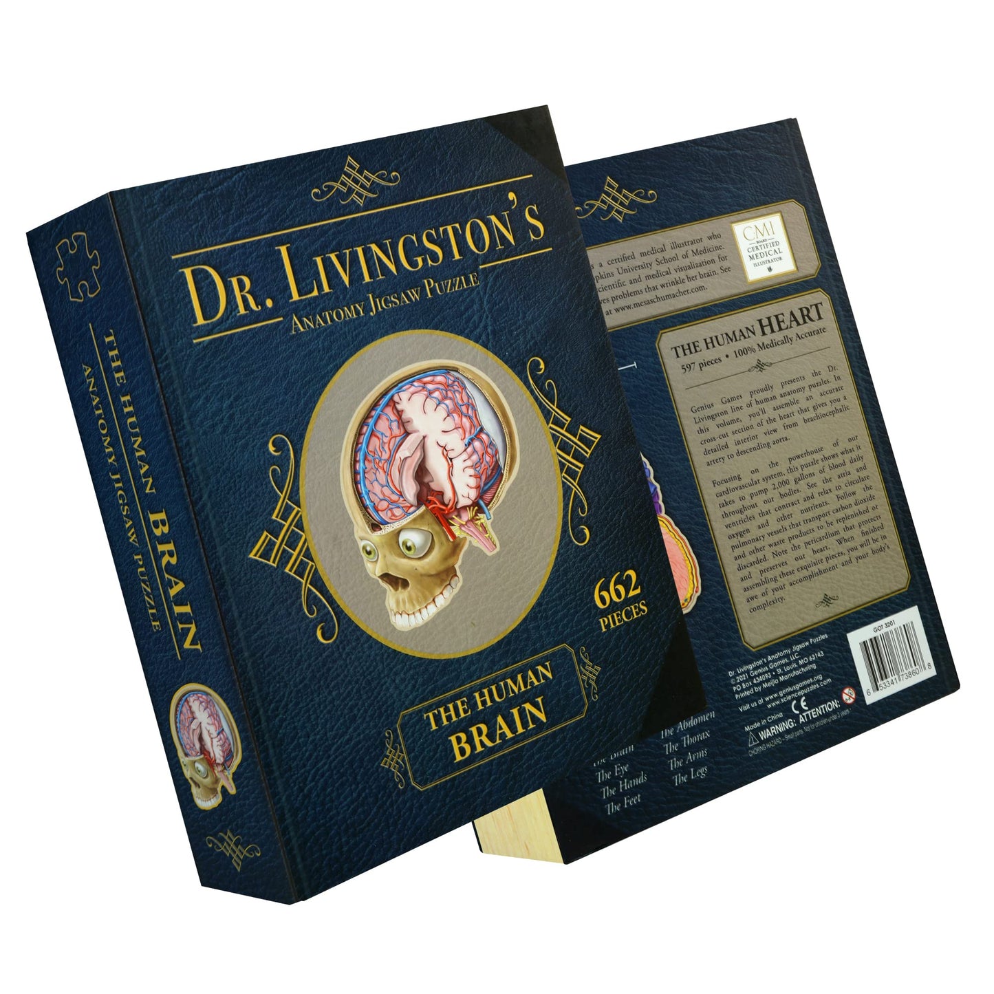 Genius Games Dr. Livingston's Brain Anatomy Puzzle — Medically Accurate Brain Jigsaw for Teens & Adults