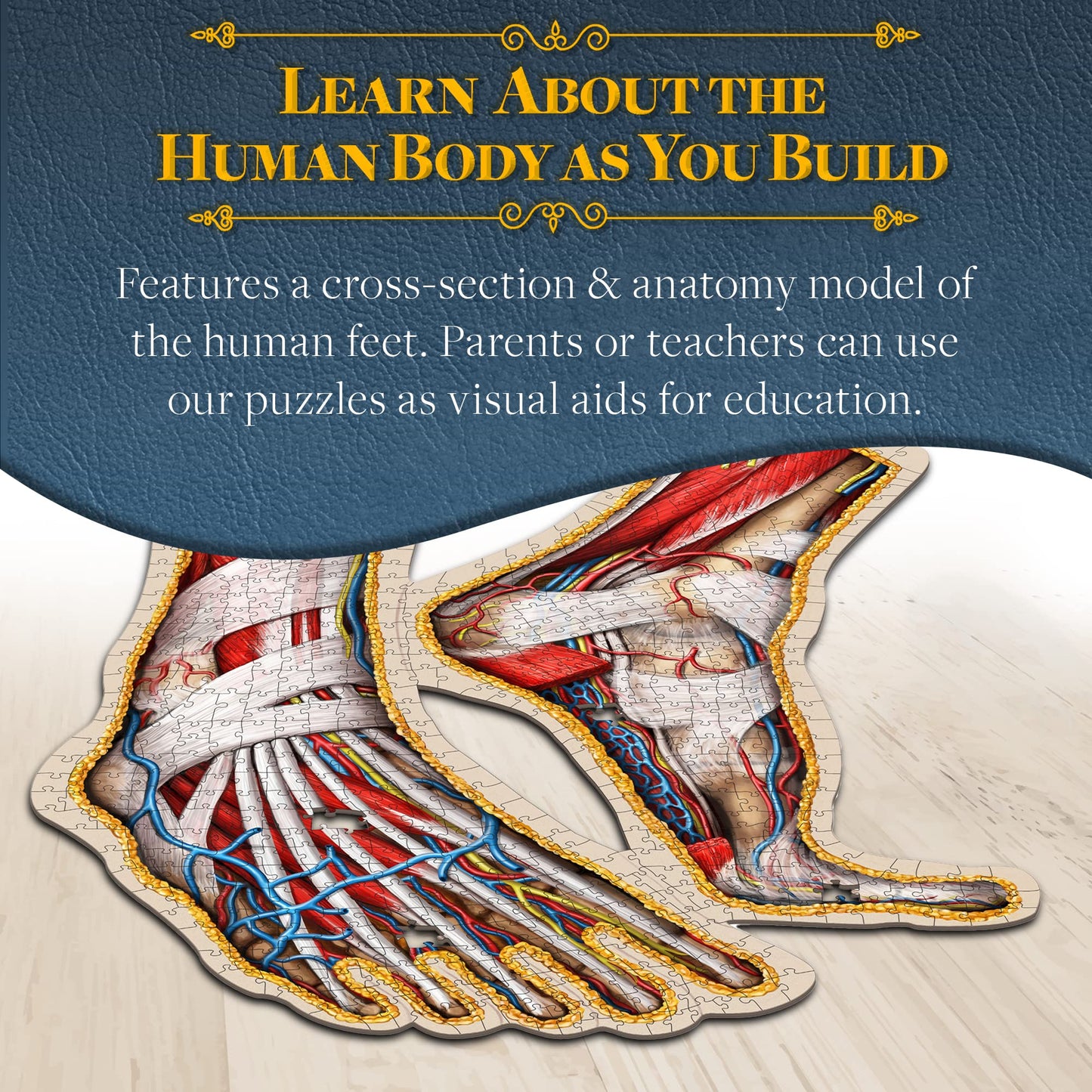Dr. Livingston's Human Feet Anatomy Puzzle — Medically Accurate Jigsaw by Genius Games