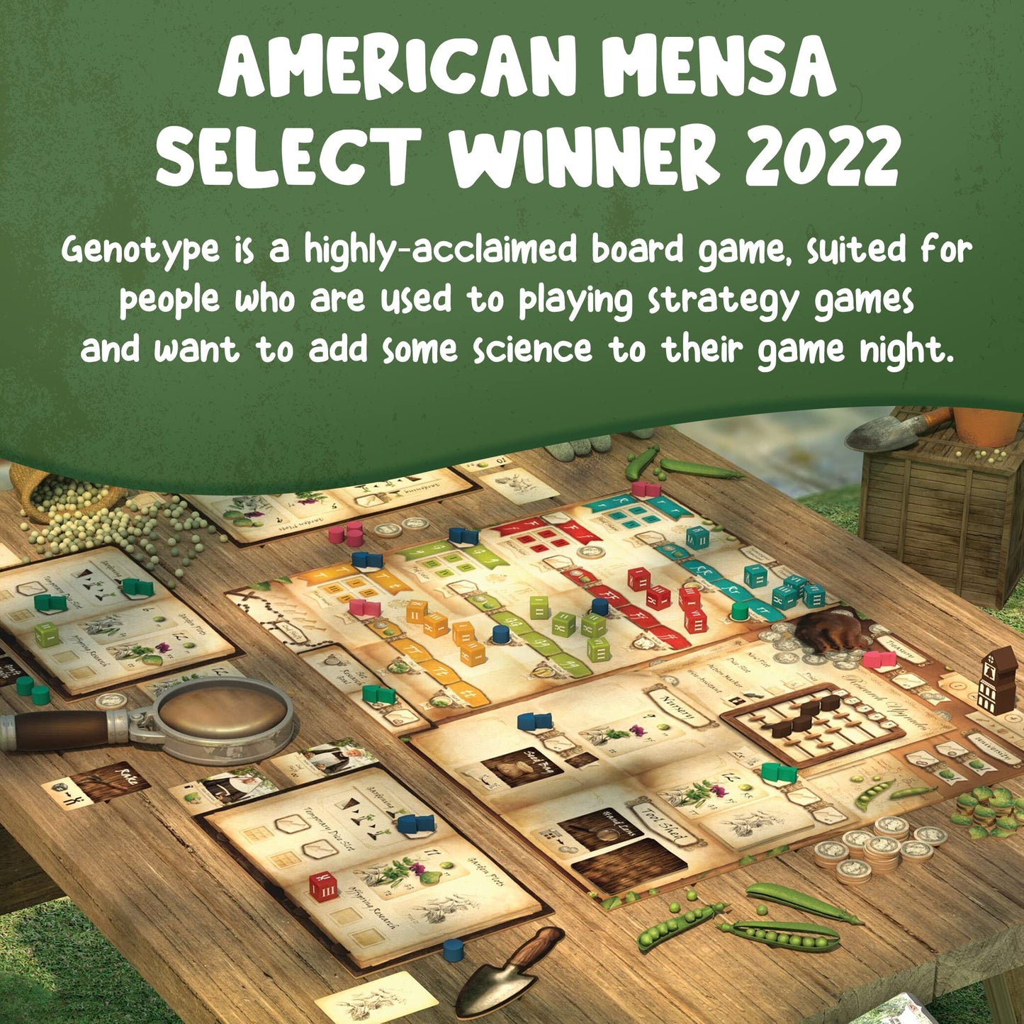Genotype: Mensa Award-Winning Genetics Board Game by Genius Games