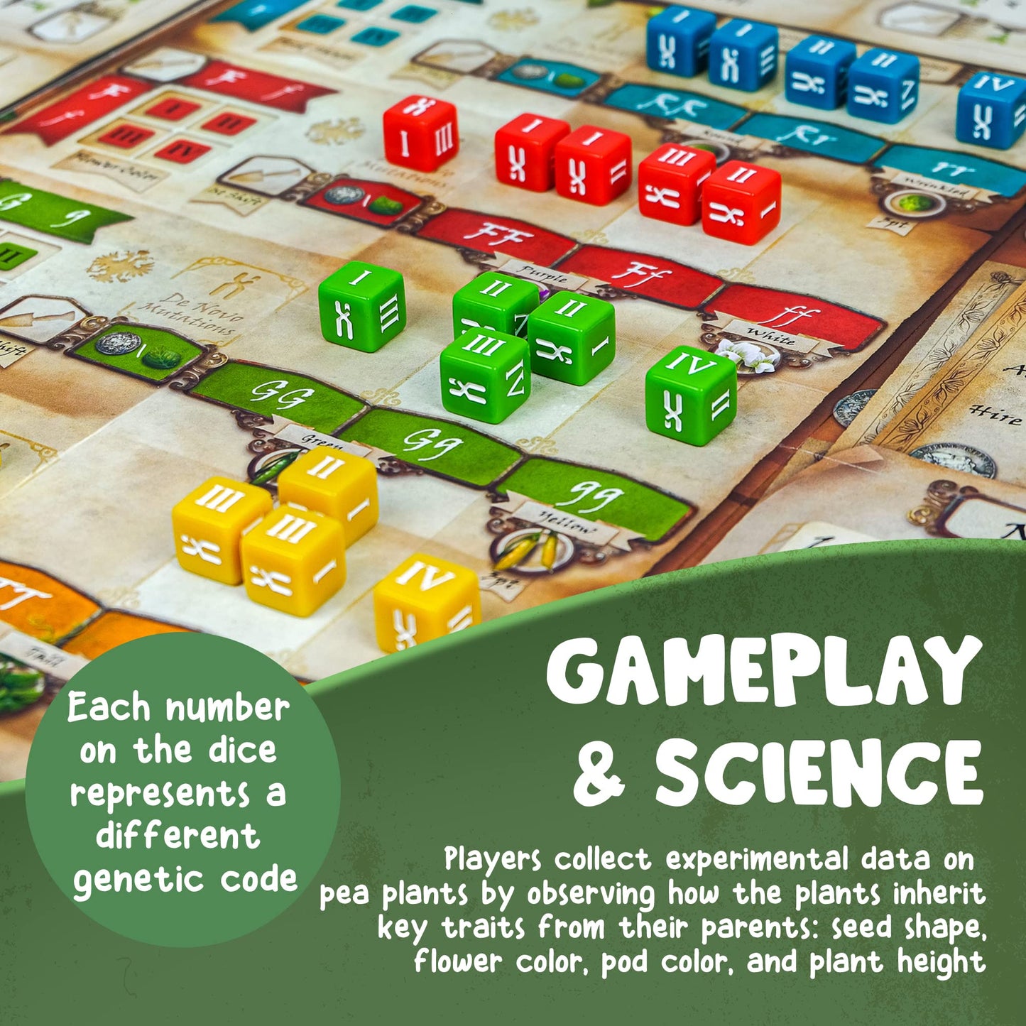Genotype: Mensa Award-Winning Genetics Board Game by Genius Games