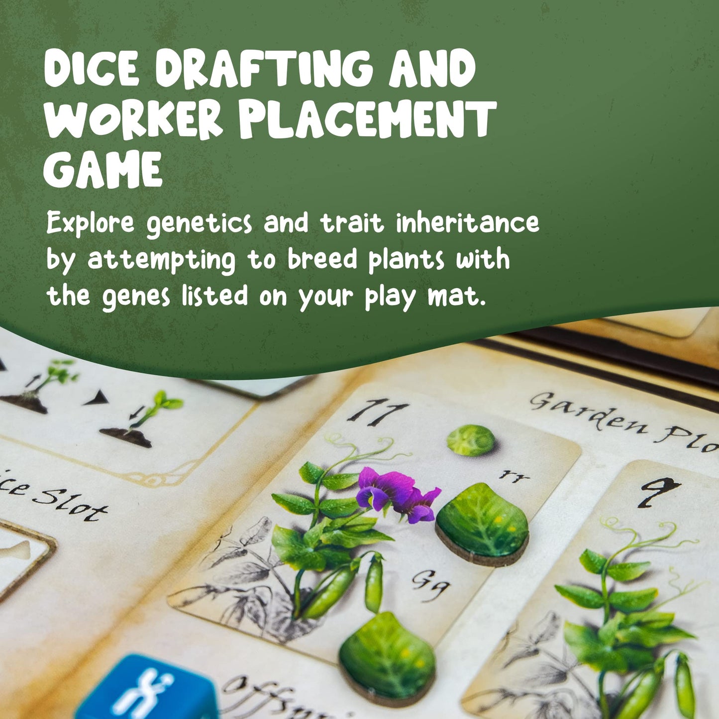 Genotype: Mensa Award-Winning Genetics Board Game by Genius Games
