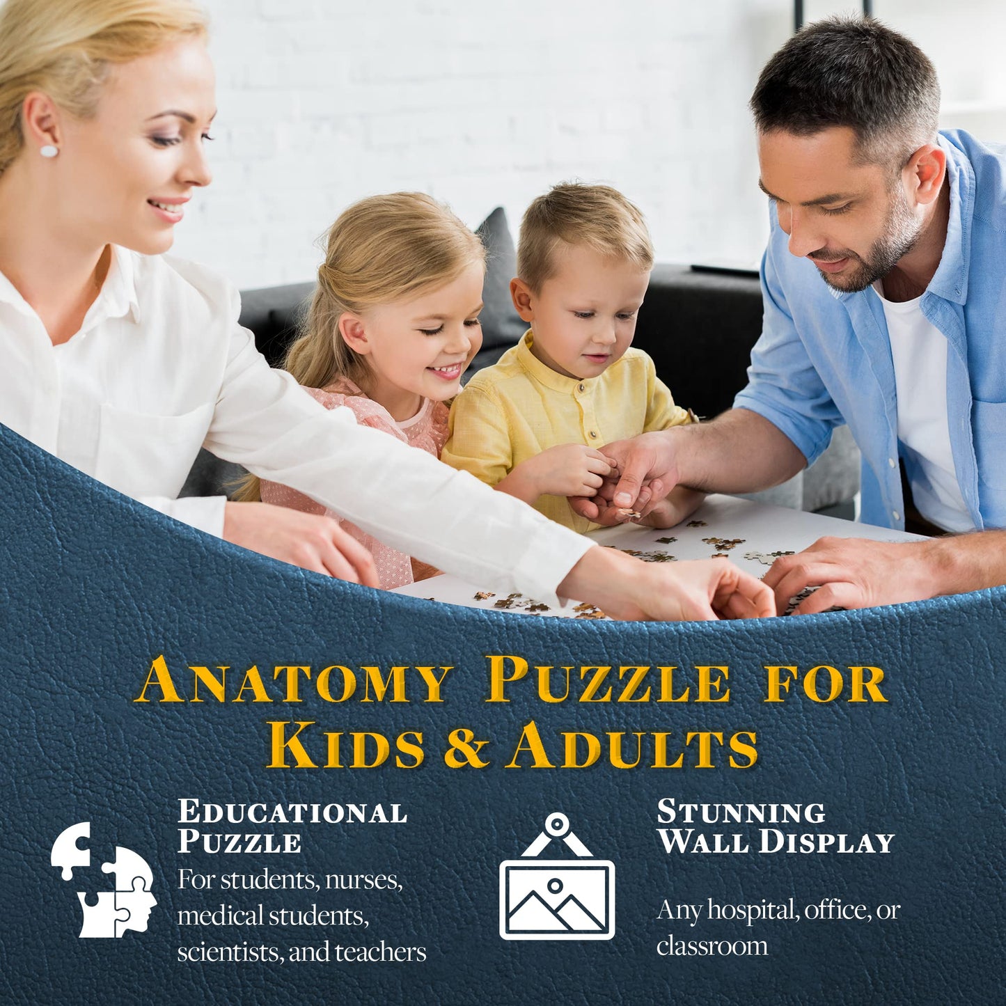 Genius Games Dr. Livingston's Human Heart Anatomy Puzzle – Medically Accurate Heart Jigsaw for Teens & Adults