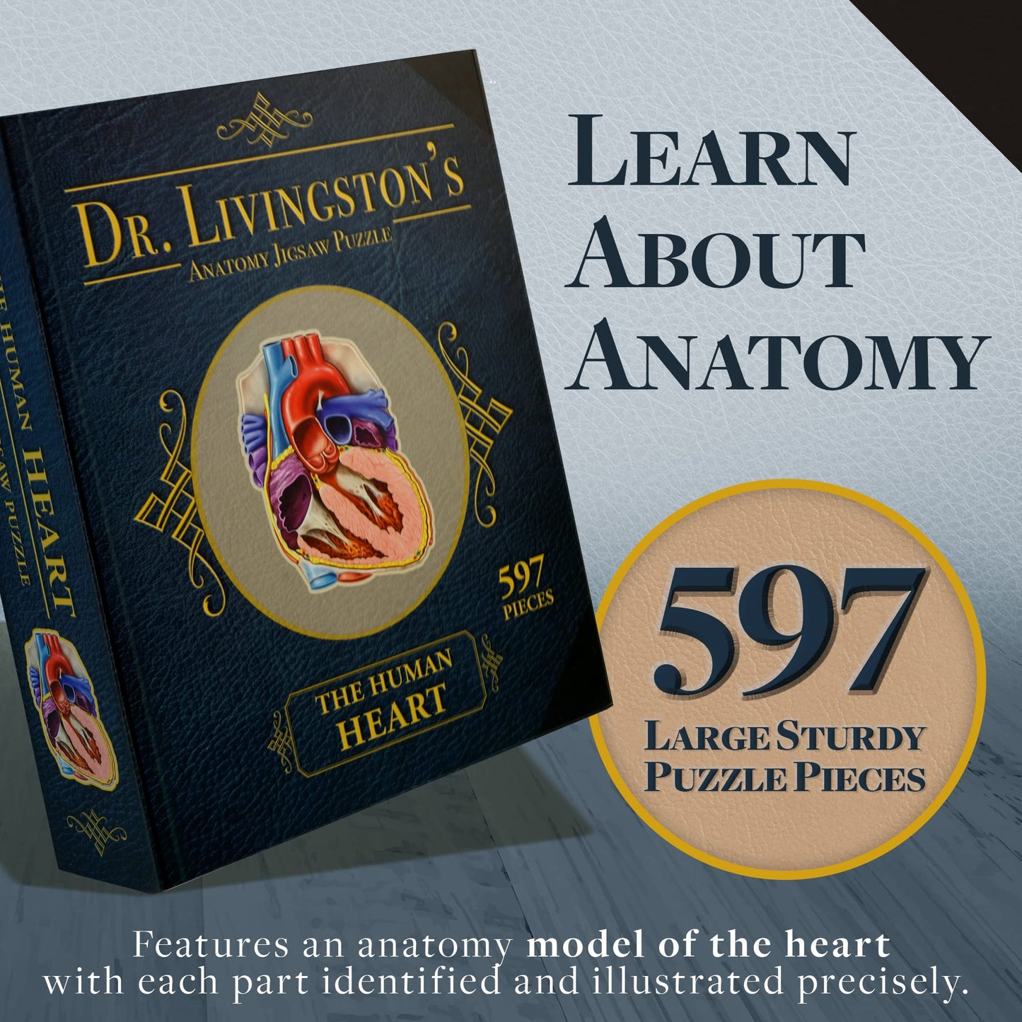 Genius Games Dr. Livingston's Human Heart Anatomy Puzzle – Medically Accurate Heart Jigsaw for Teens & Adults