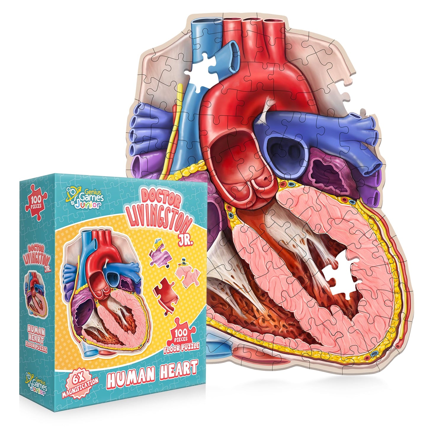 Genius Games Human Heart Anatomy Floor Puzzle — 100-Piece Jigsaw for Kids & Teens | Dr Livingston Jr