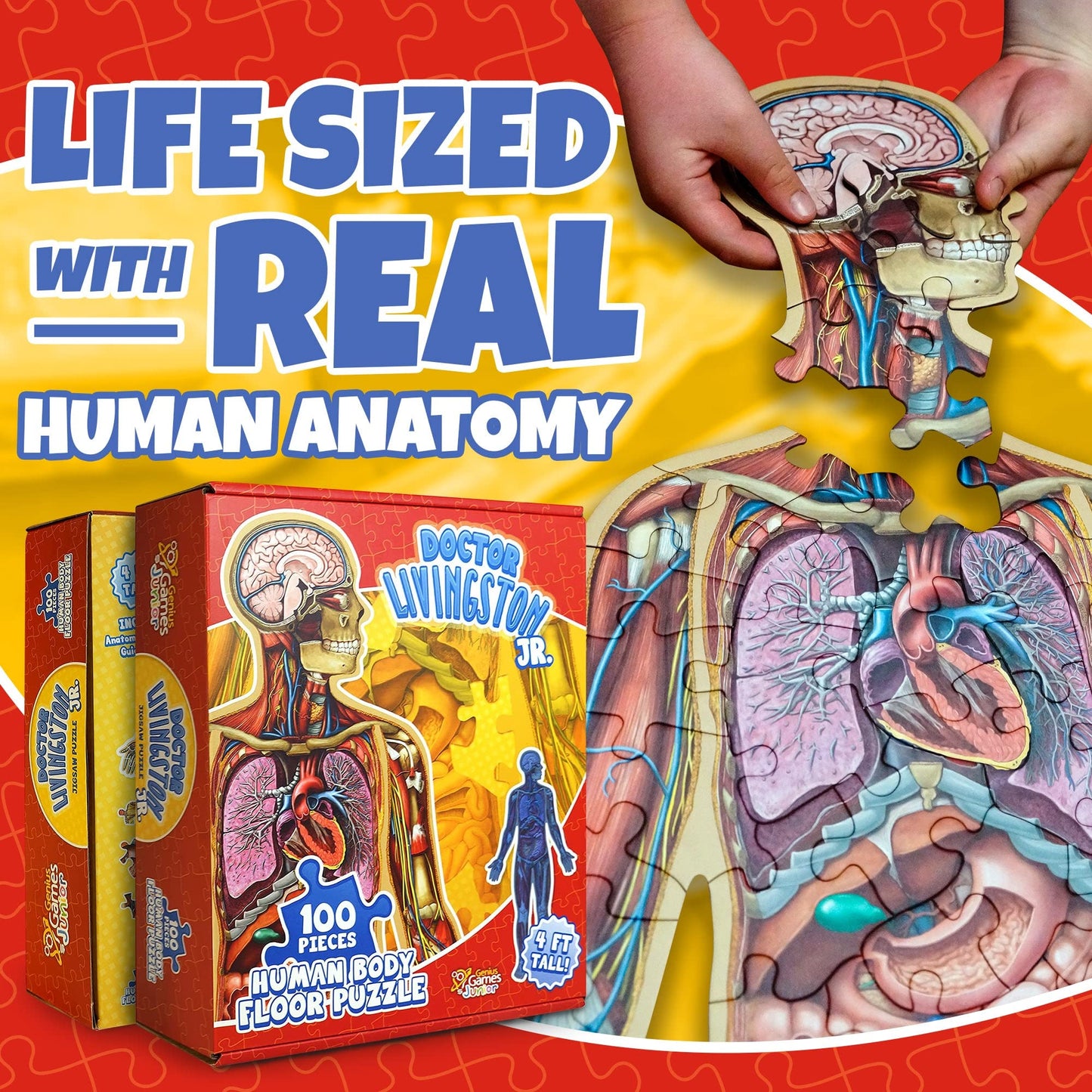 Genius Games Dr Livingston Jr Human Anatomy Floor Puzzle – 100-Piece, 4 ft