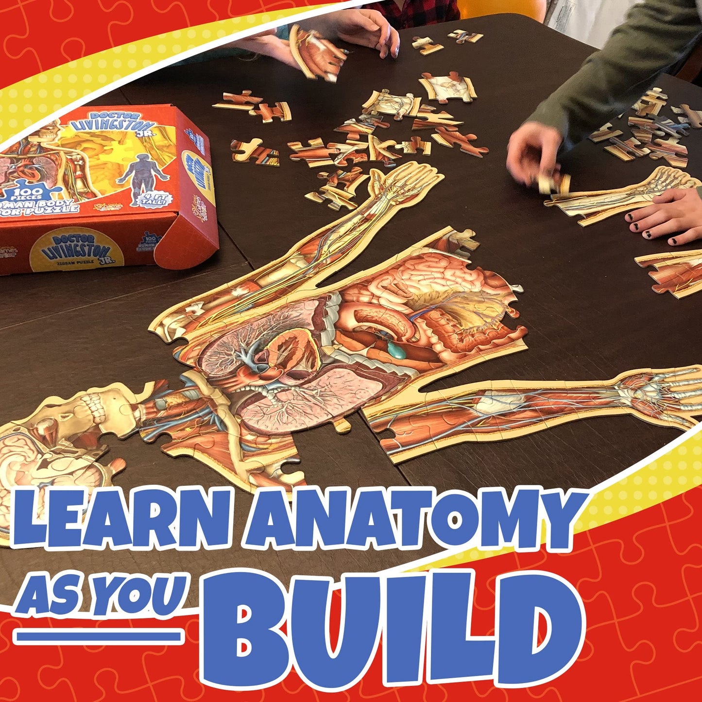Genius Games Dr Livingston Jr Human Anatomy Floor Puzzle – 100-Piece, 4 ft