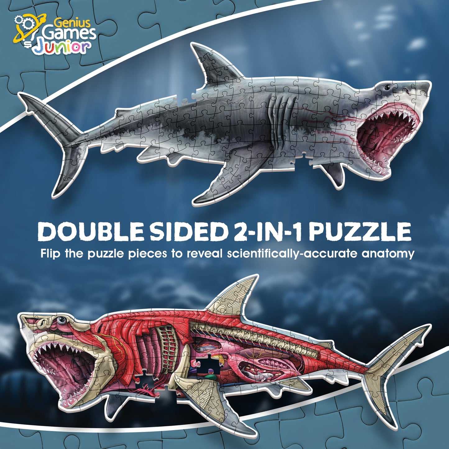 Shark Animal Anatomy Floor Puzzle by Genius Games – 100-Piece Double-Sided Jigsaw for Ages 4-10
