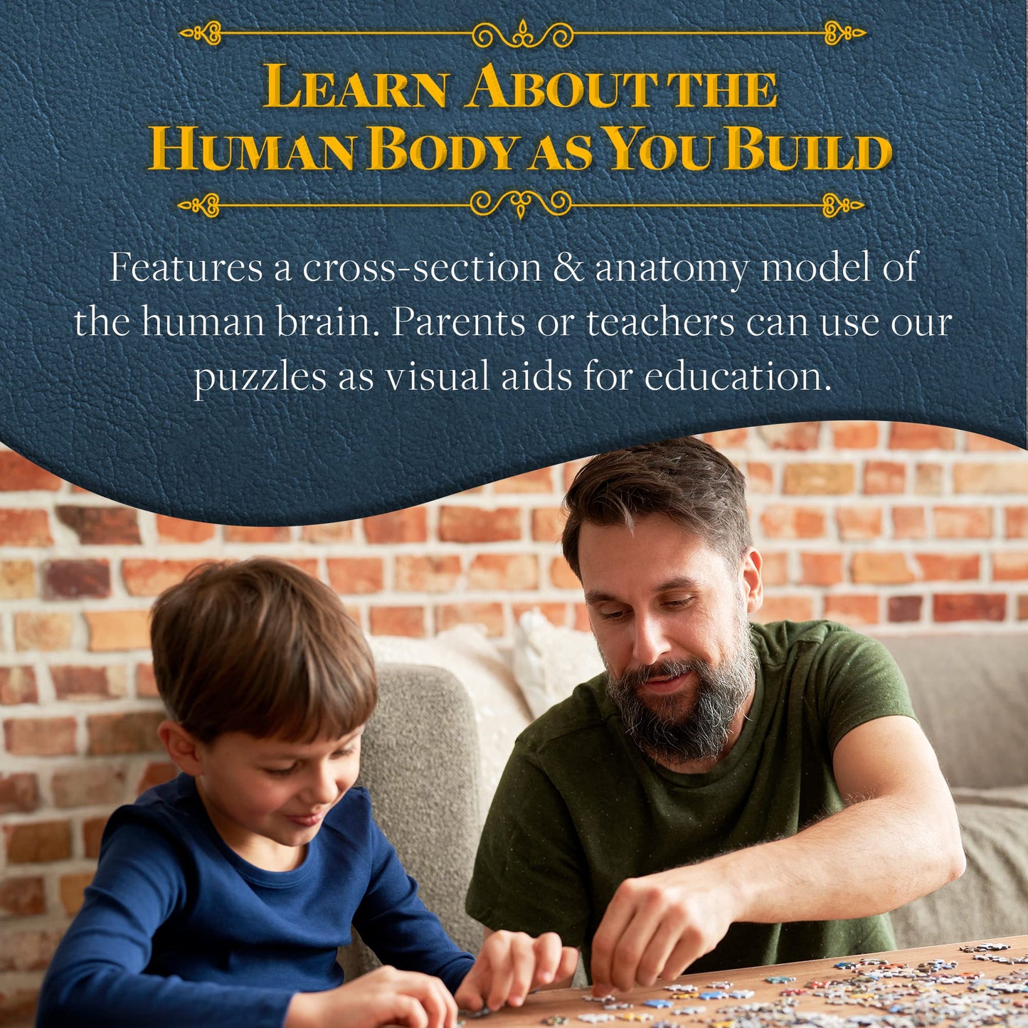 Genius Games Dr. Livingston's Brain Anatomy Puzzle — Medically Accurate Brain Jigsaw for Teens & Adults