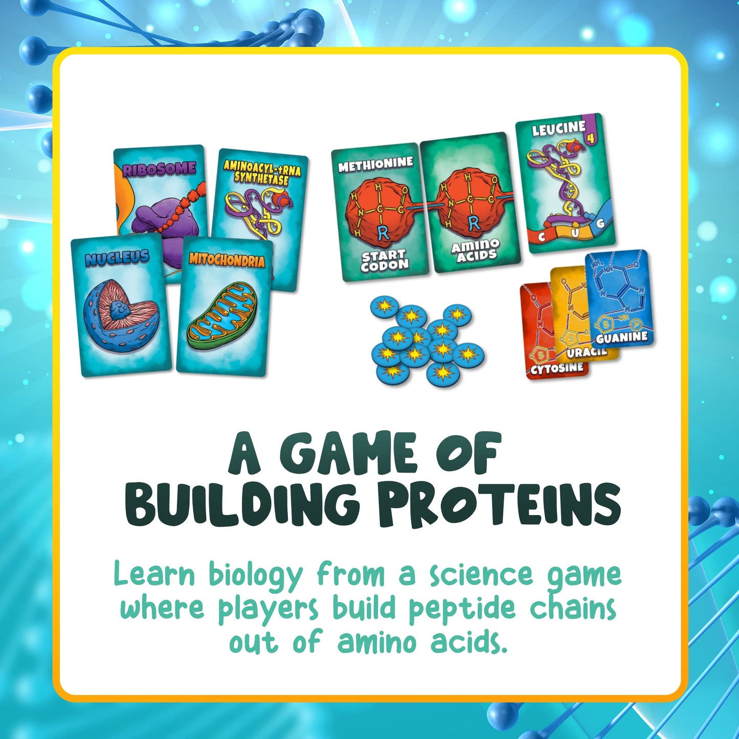Genius Games Peptide: Protein Building Strategy Card Game for Gamers and Teachers